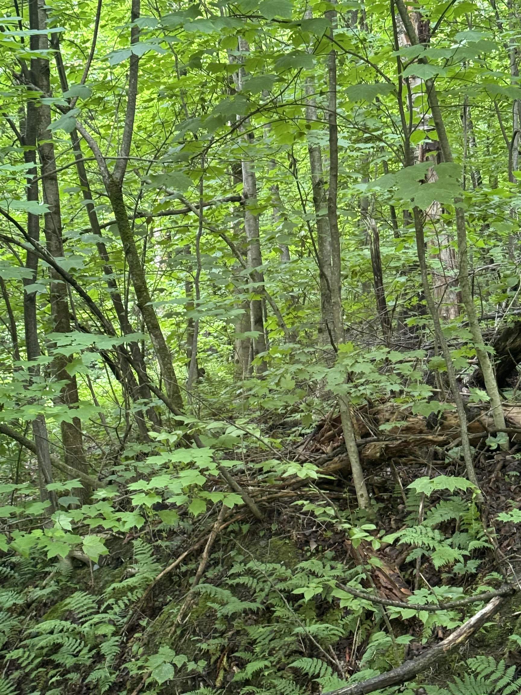 Homes for sale in Enosburg, VT | 680 Deming Rd, Enosburg, VT 05450 | MLS# 5068436