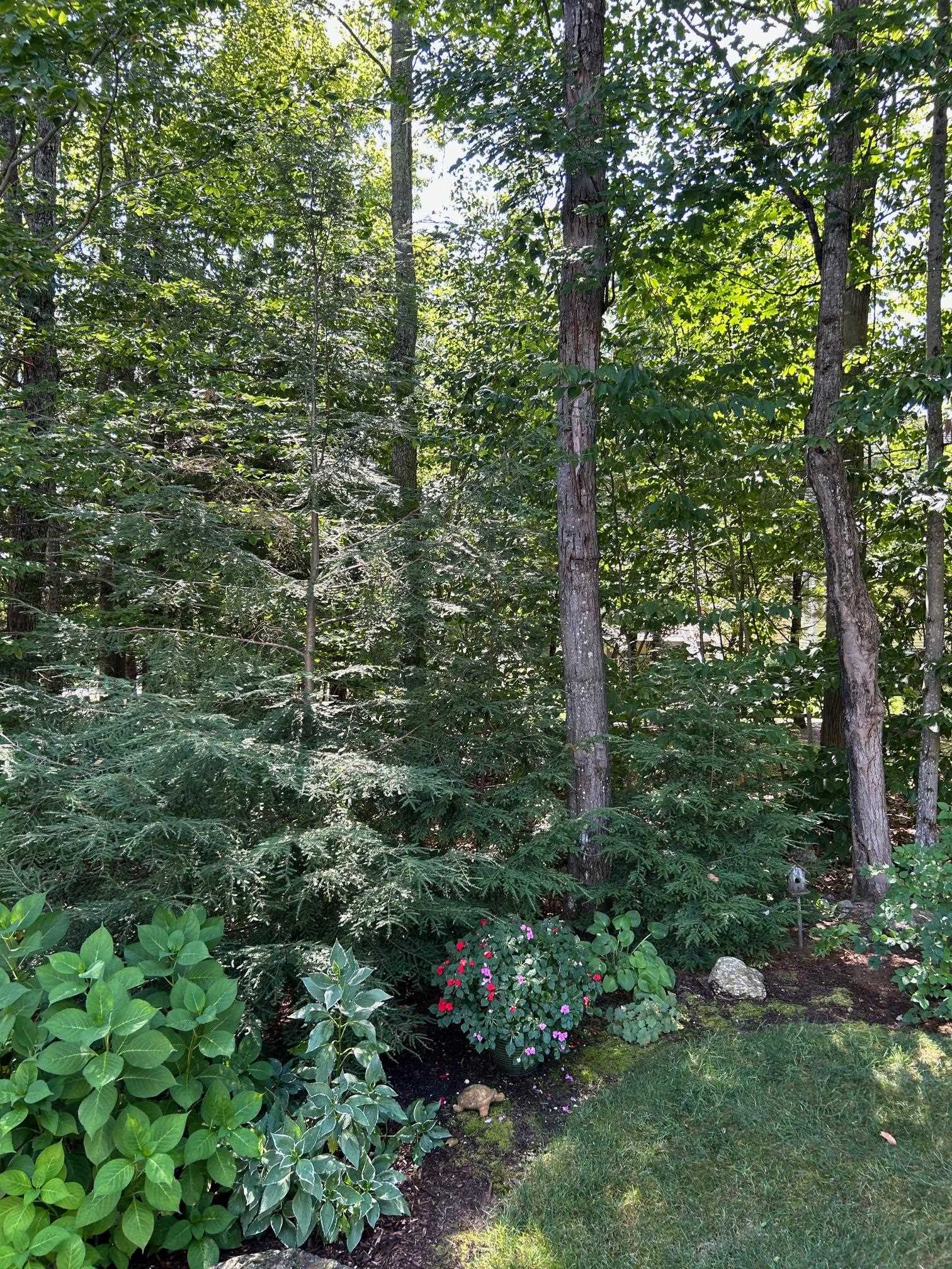 MLS #5068461 image #41