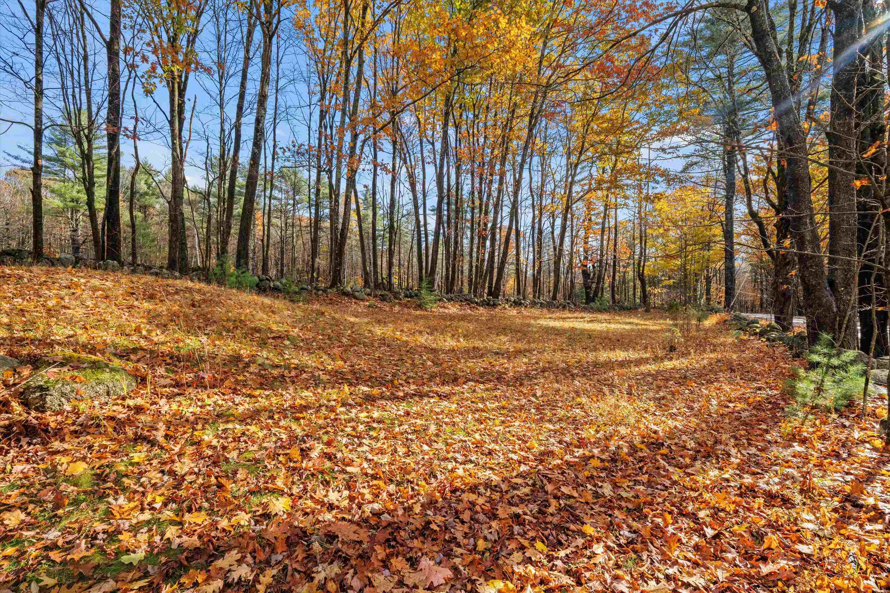 MLS #5068463 image #25