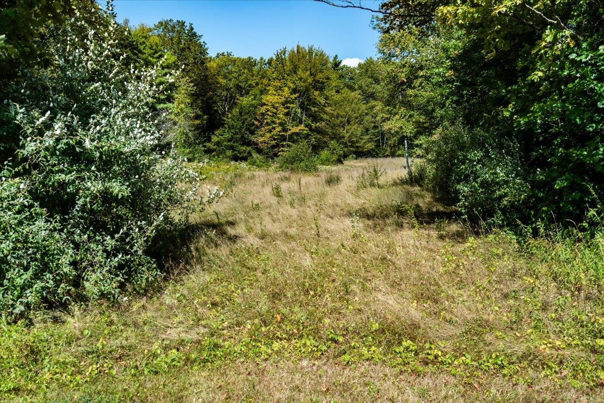 MLS #5068466 image #20