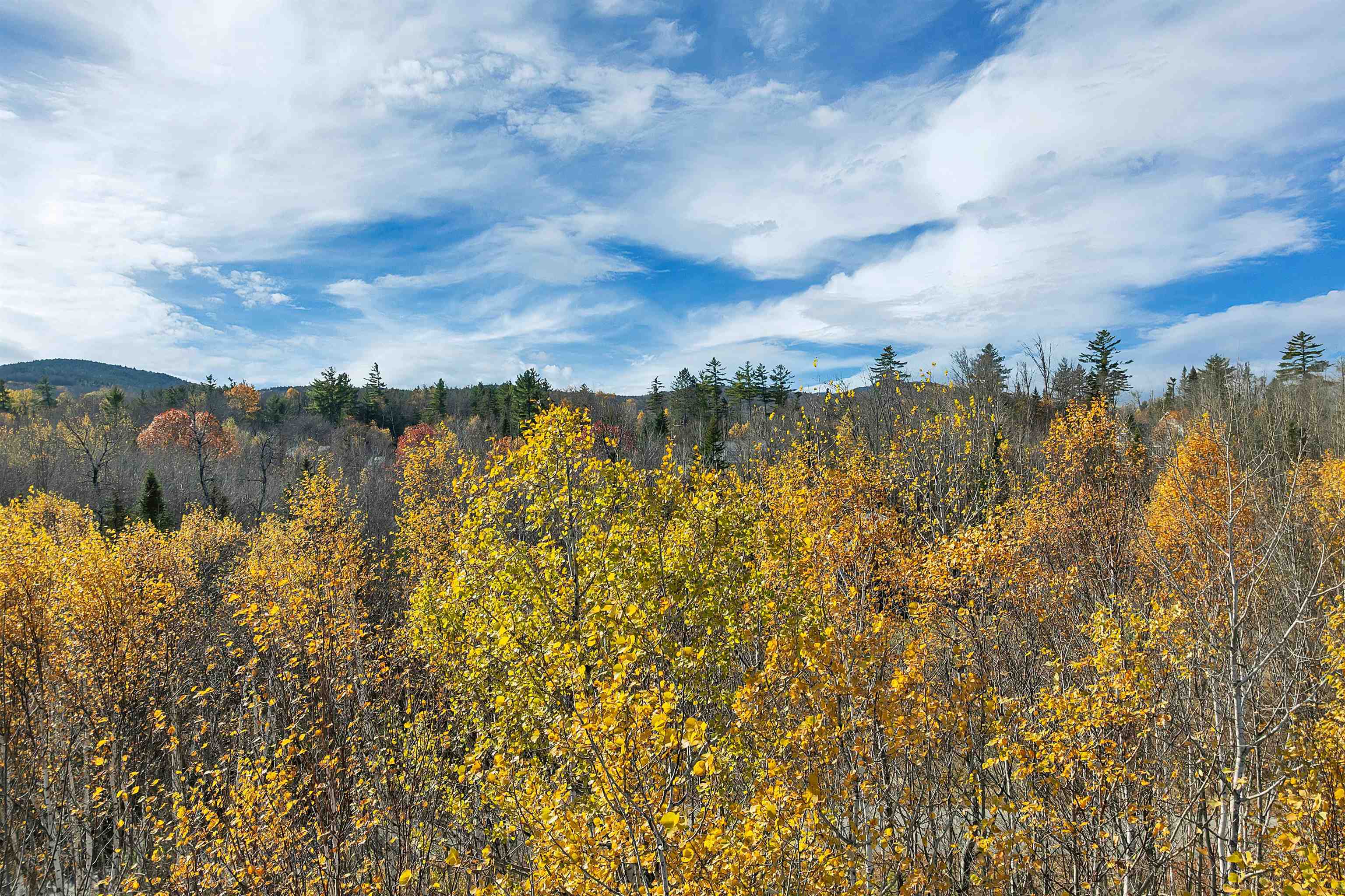 MLS #5068478 image #10