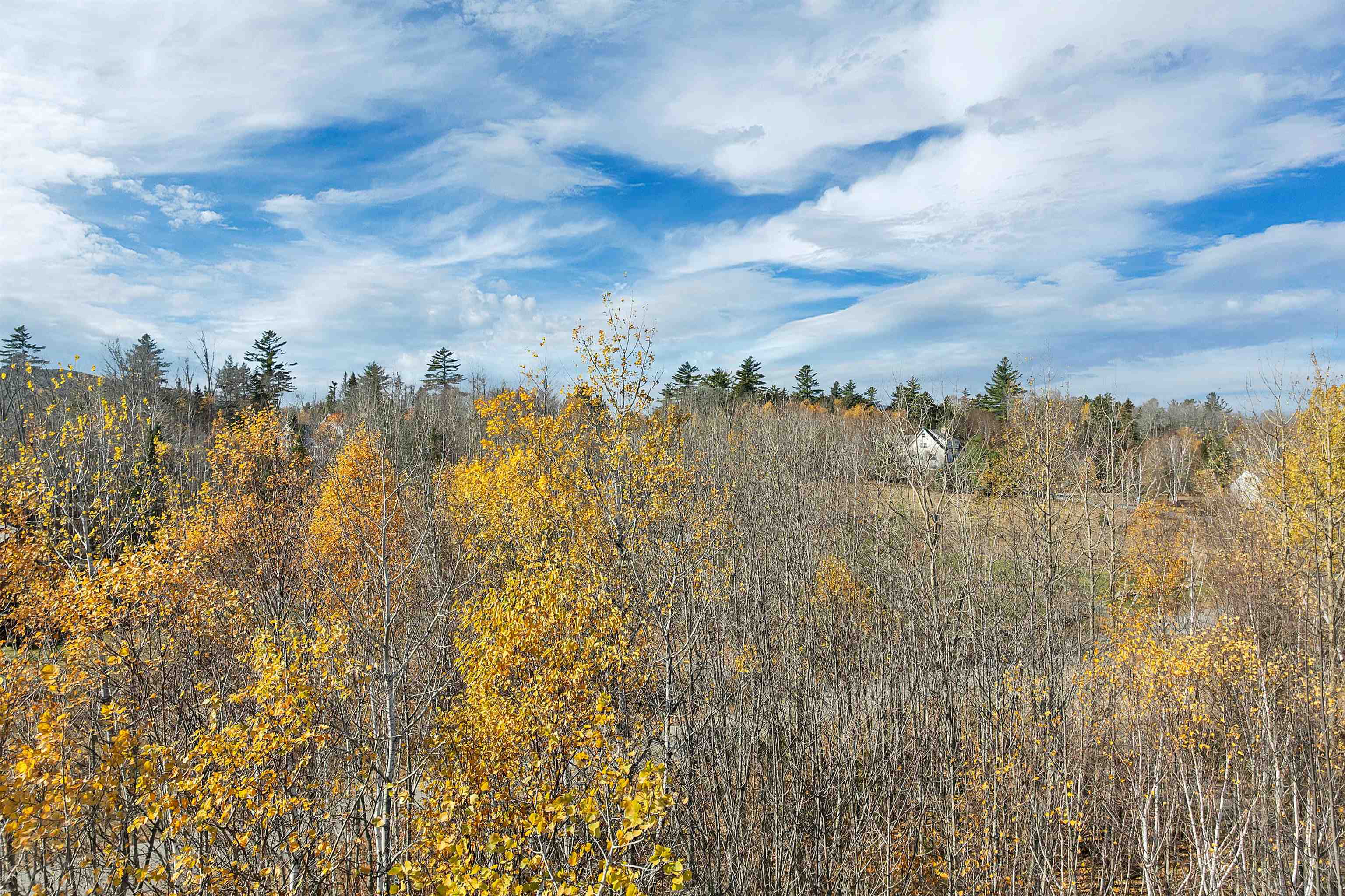 MLS #5068478 image #11