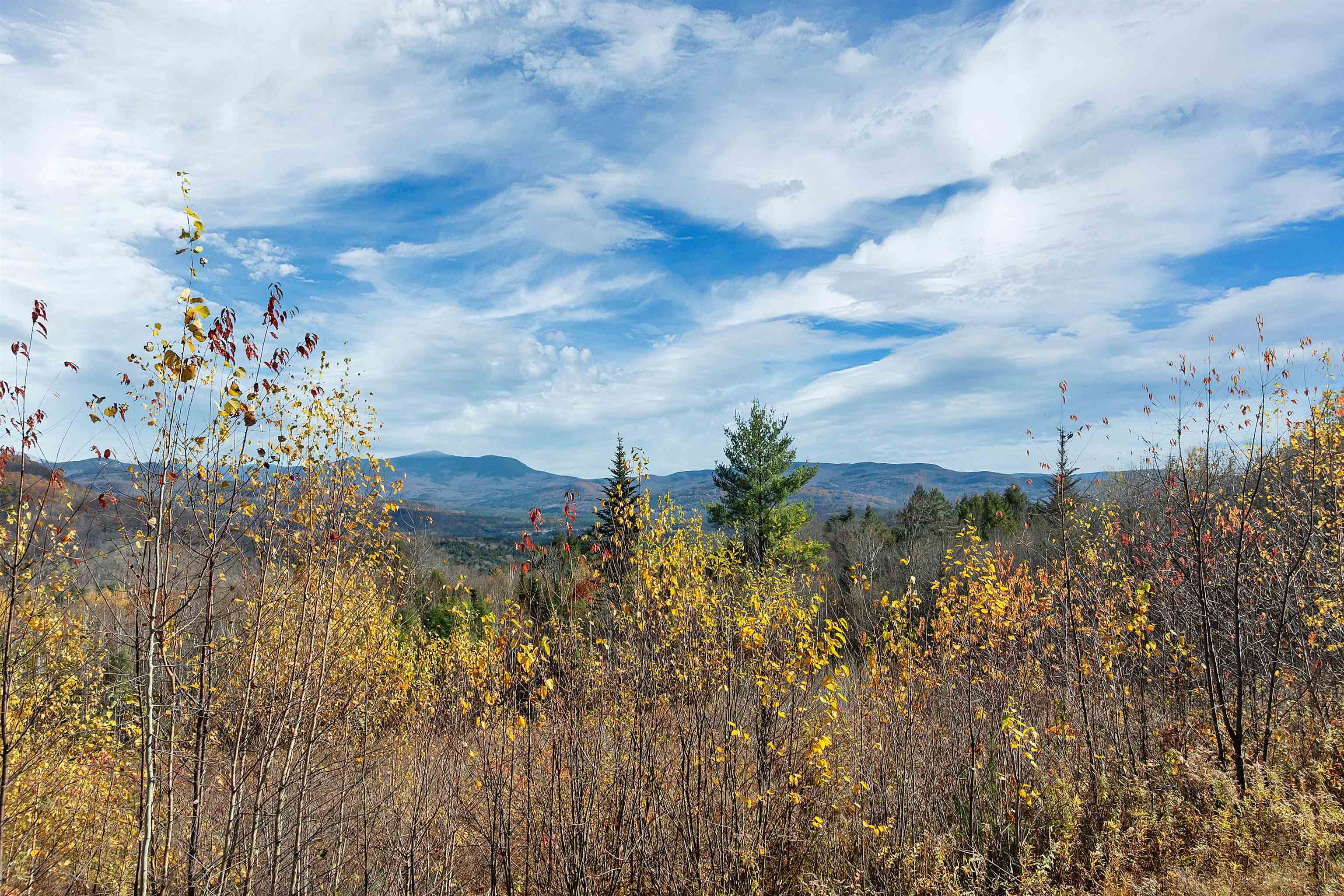 MLS #5068478 image #24