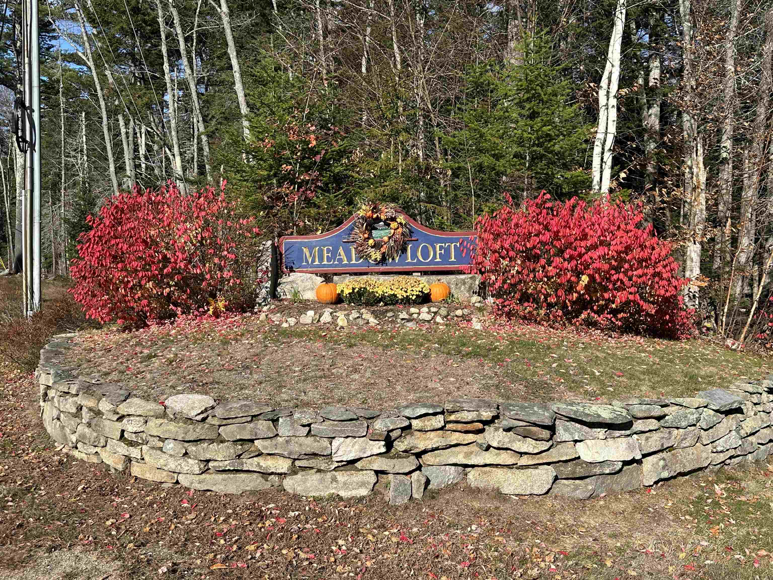 MLS #5068478 image #4