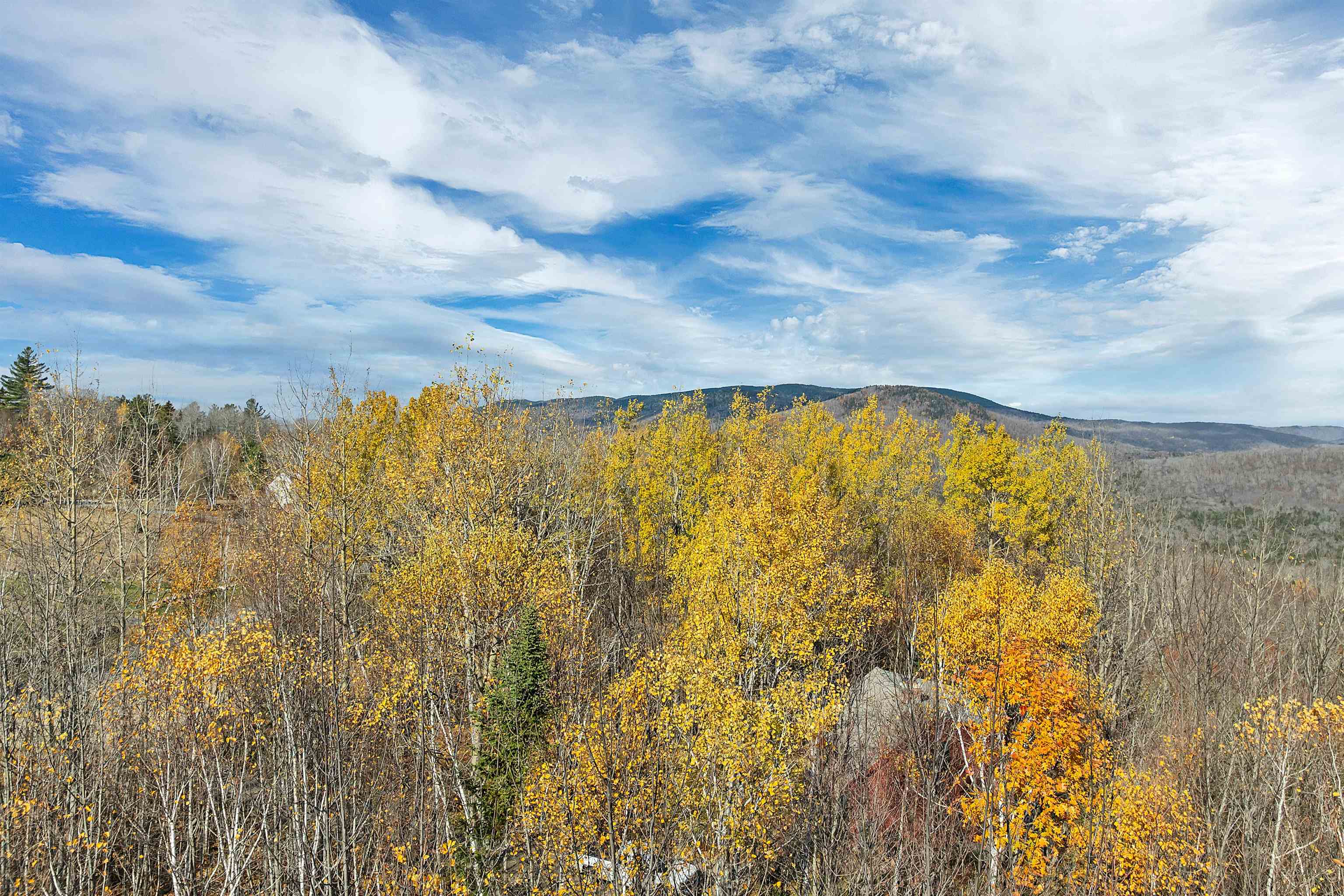 MLS #5068478 image #8