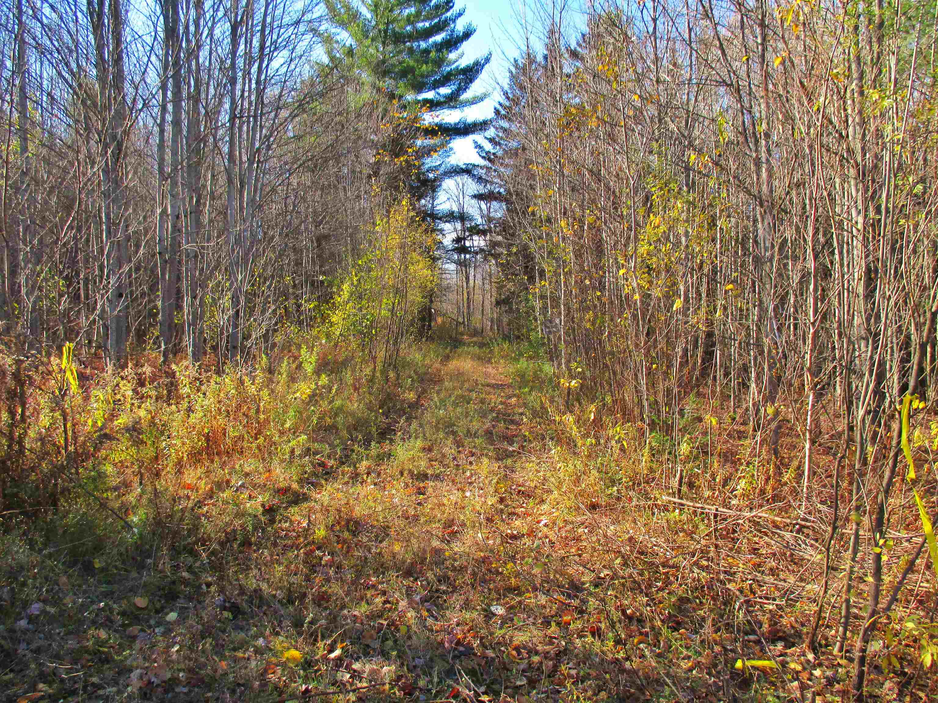 Homes for sale in Lowell, VT | 00 Farm Rd, Lowell, VT 05847 | MLS# 5068482