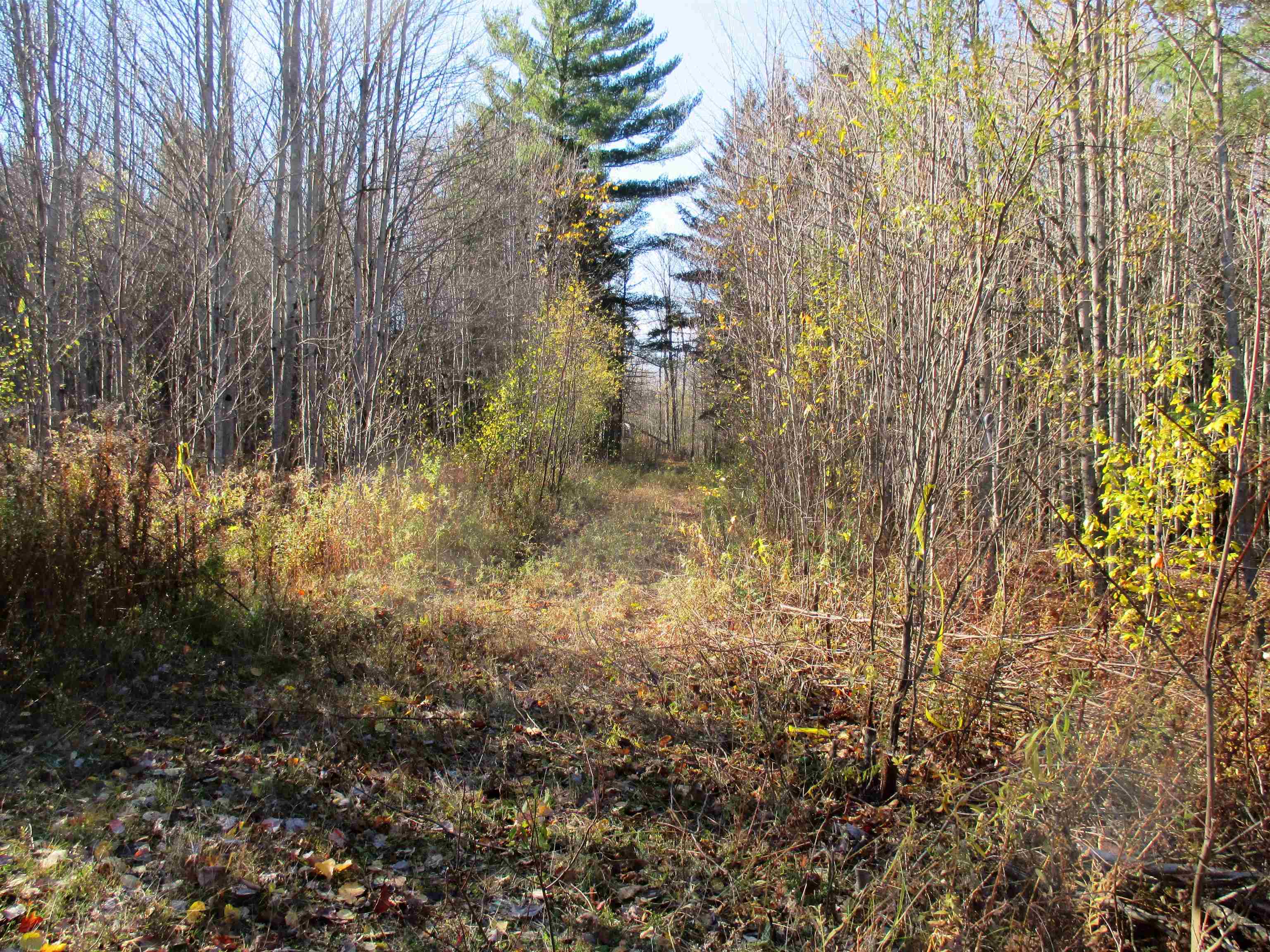 Homes for sale in Lowell, VT | 00 Farm Rd, Lowell, VT 05847 | MLS# 5068482