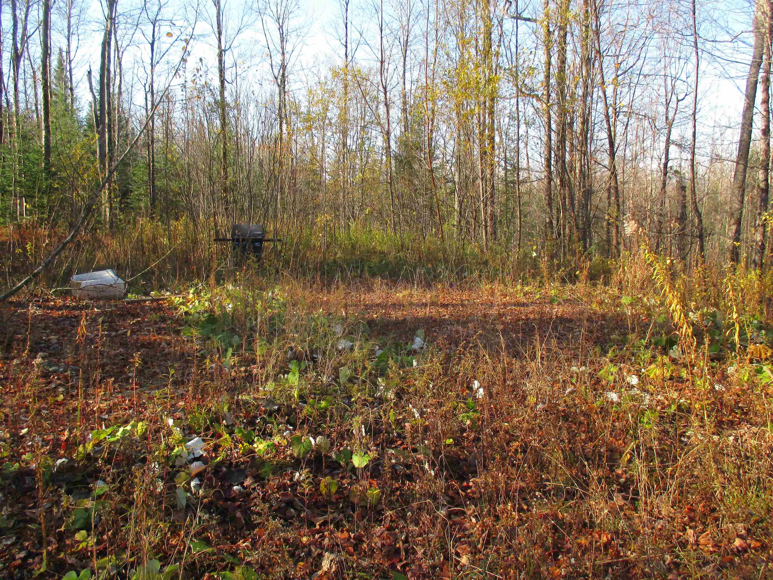 Homes for sale in Lowell, VT | 00 Farm Rd, Lowell, VT 05847 | MLS# 5068482