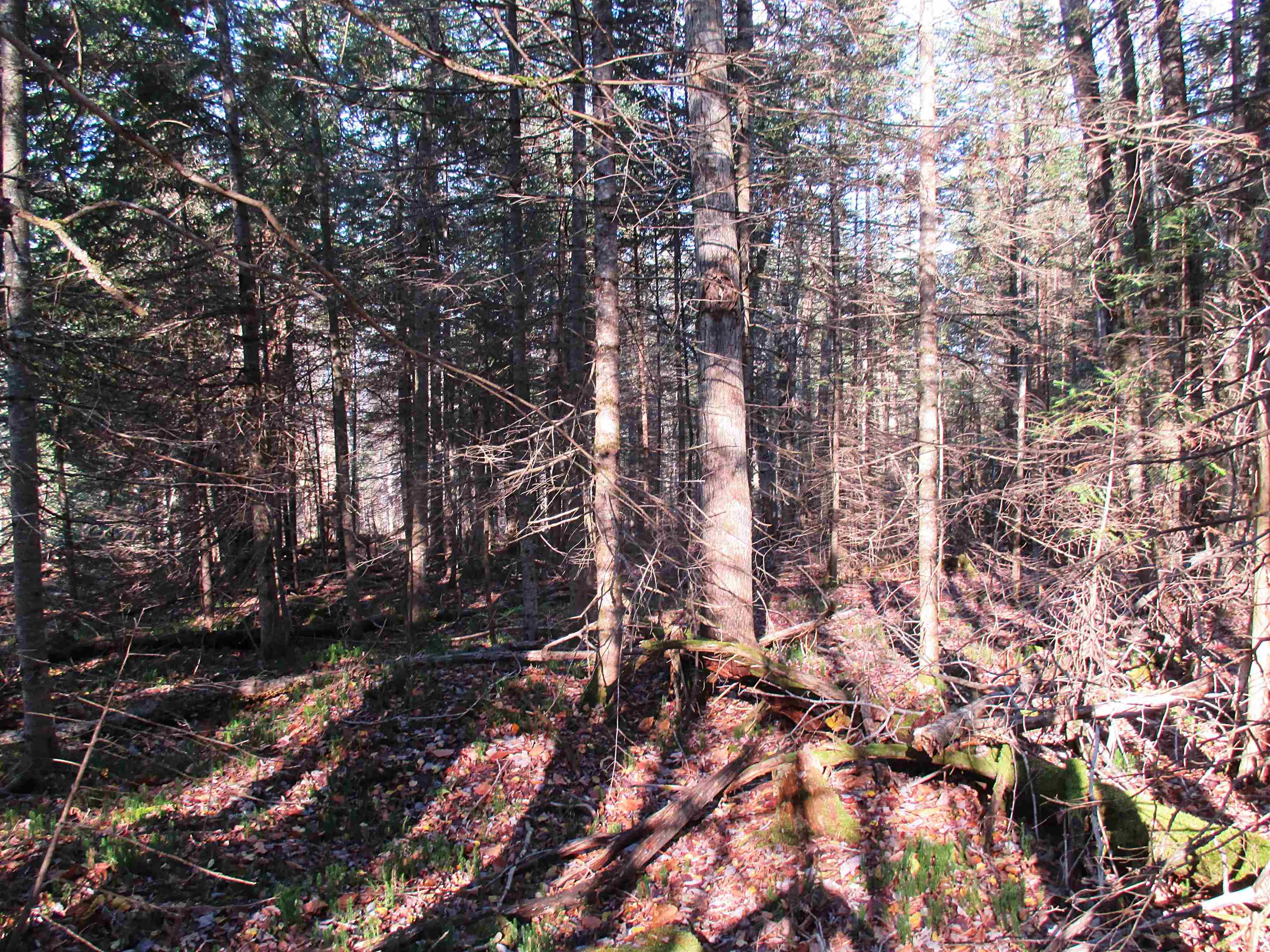 Homes for sale in Lowell, VT | 00 Farm Rd, Lowell, VT 05847 | MLS# 5068482