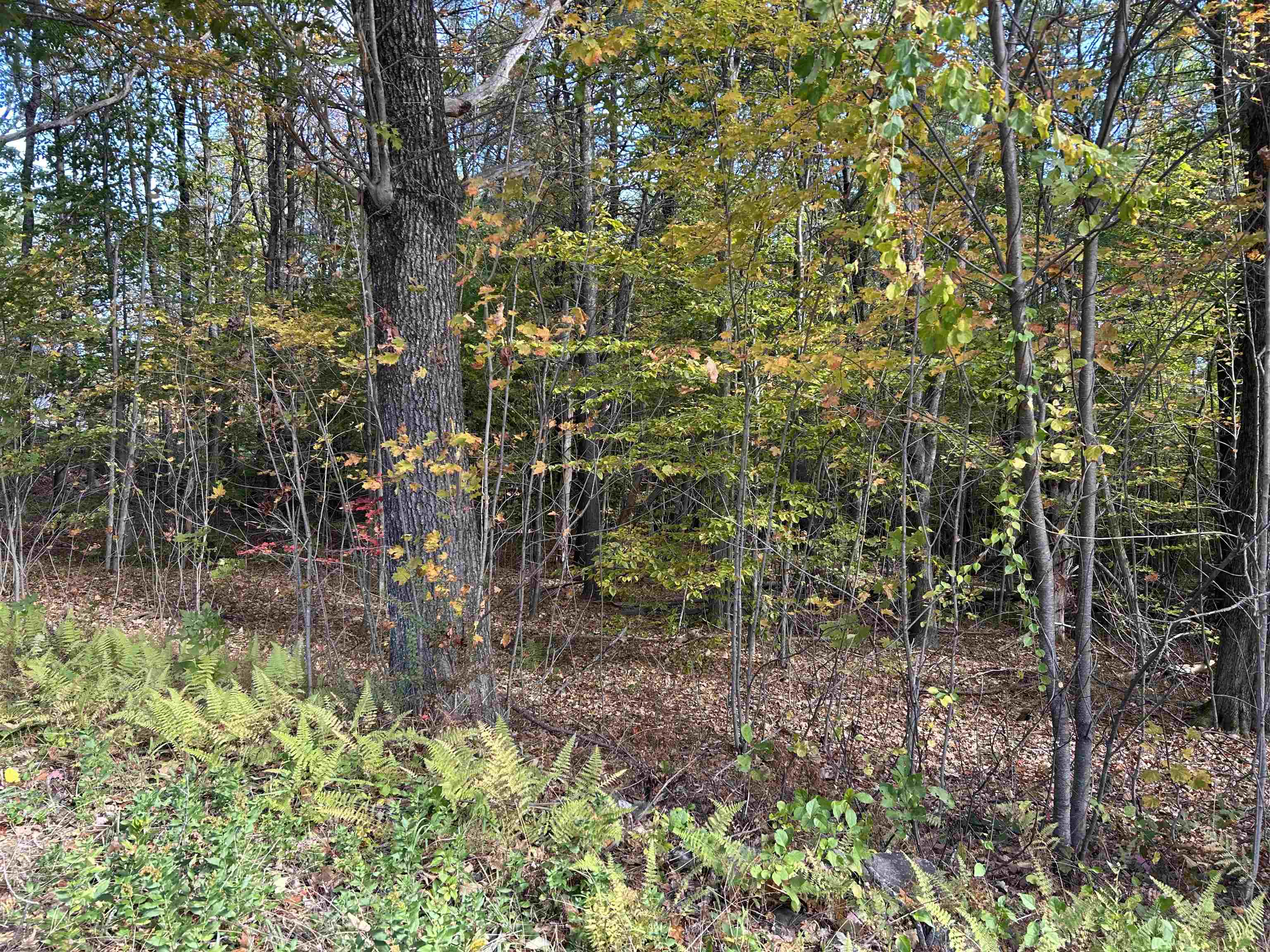 MLS #5068495 image #3