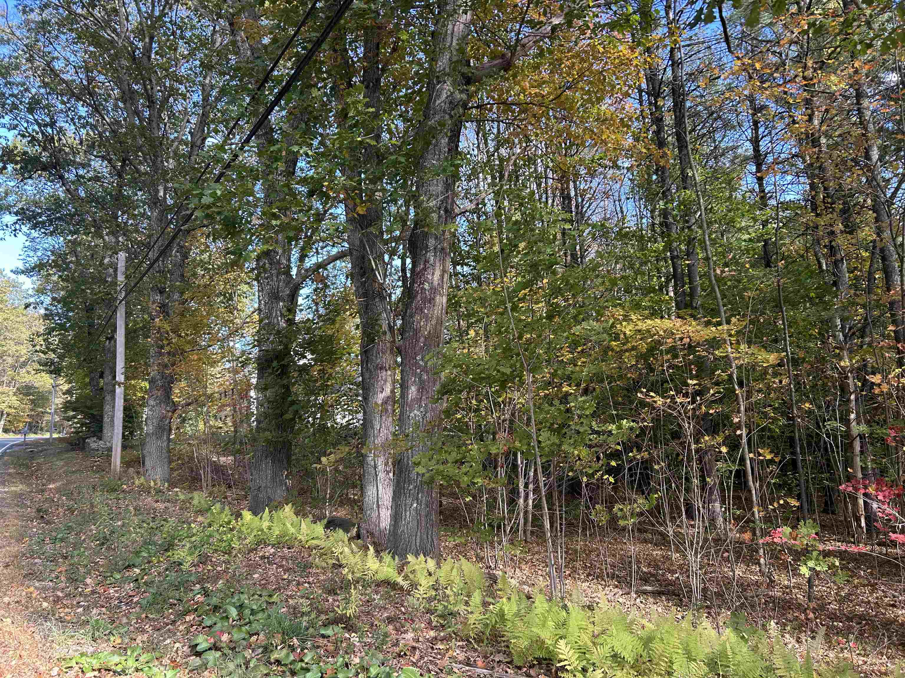 MLS #5068495 image #5