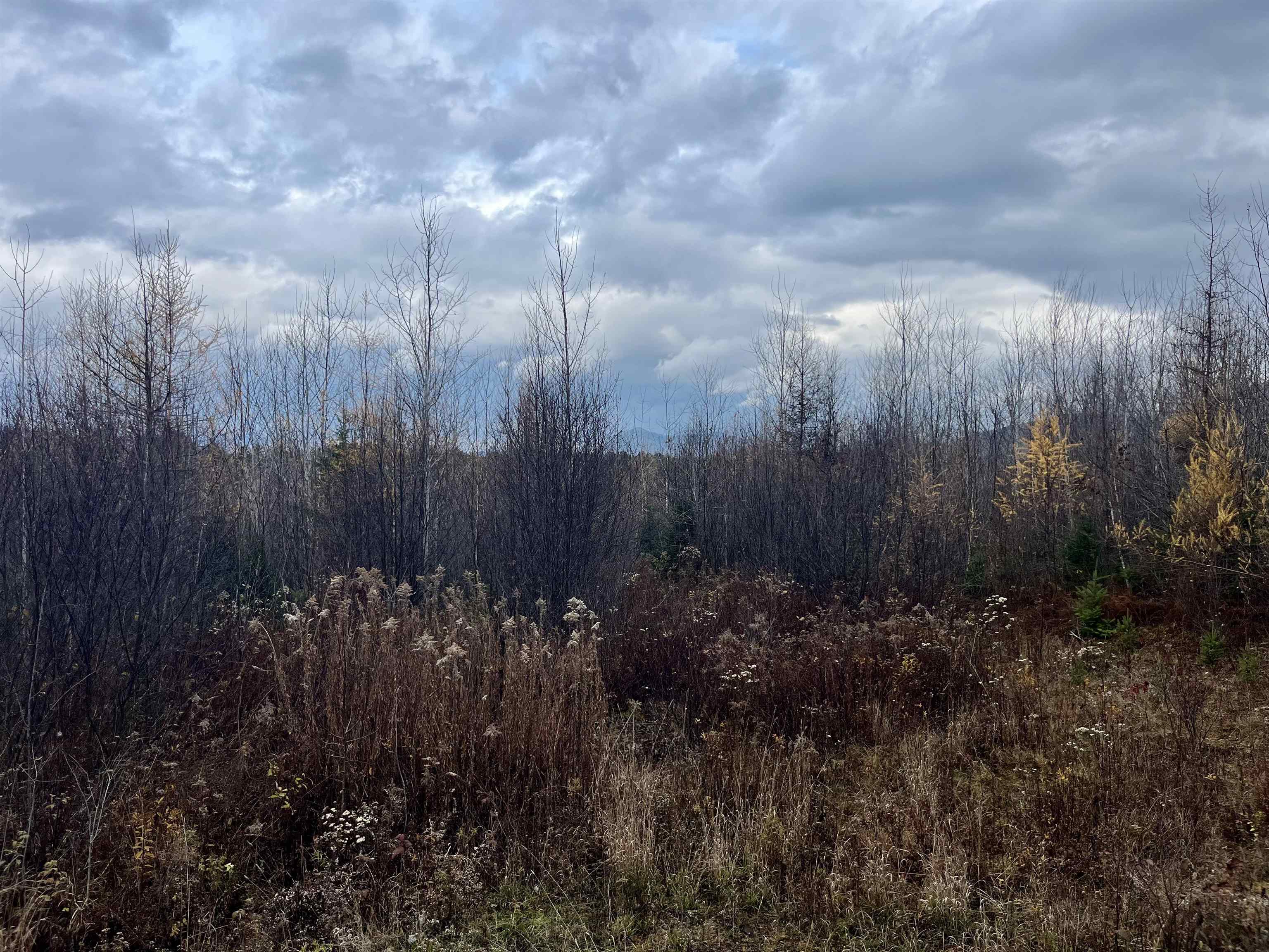 Homes for sale in Lancaster, NH | 0 Great Neck Rd, Lancaster, NH 03584 | MLS# 5068507