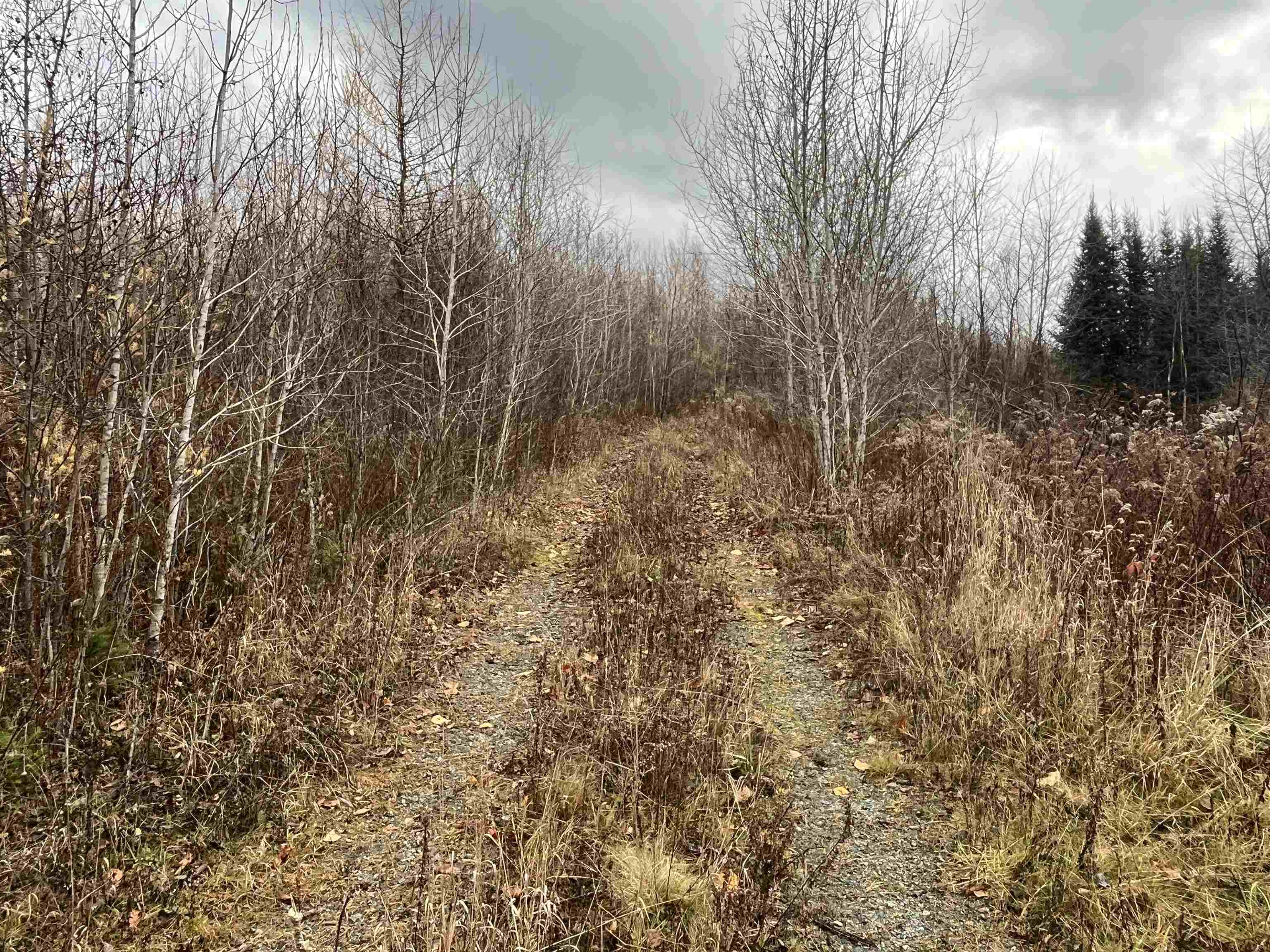 Homes for sale in Lancaster, NH | 0 Great Neck Rd, Lancaster, NH 03584 | MLS# 5068507