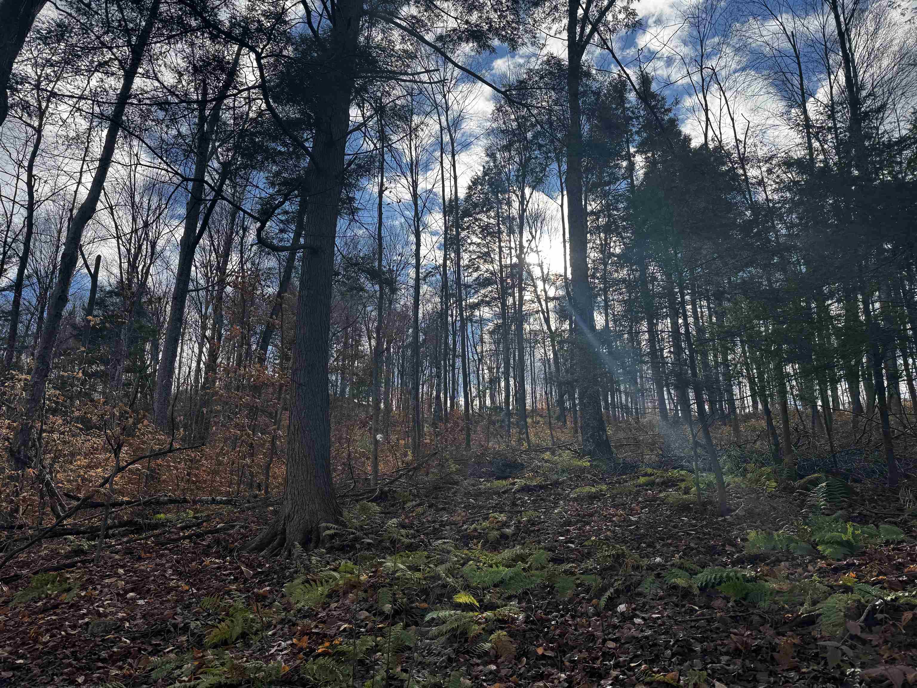 Homes for sale in Pittsford, VT | 452 Syndicate Rd, Pittsford, VT 05763 | MLS# 5068512