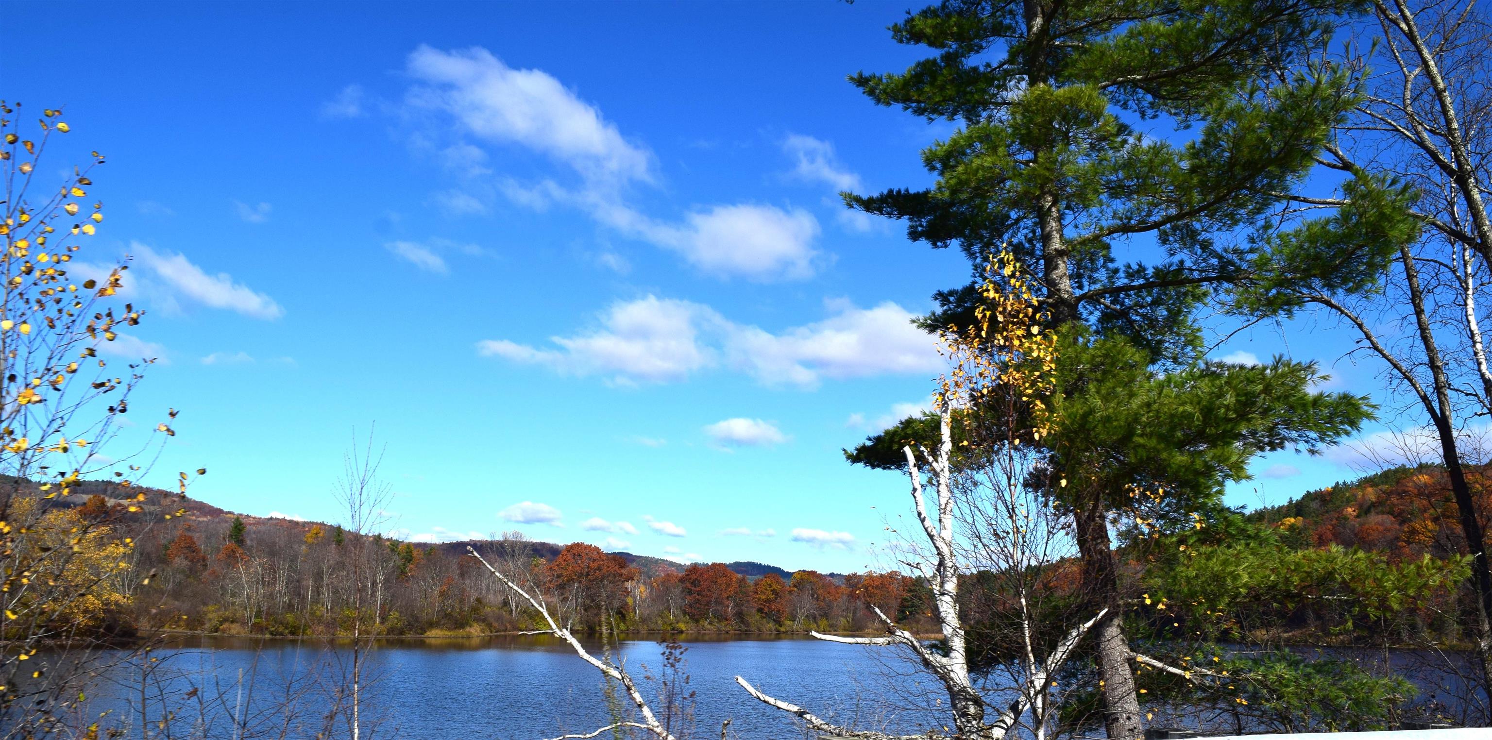 Homes for sale in Barnet, VT | 4615 Us Rt 5 South Rd, Barnet, VT 05050 | MLS# 5068527