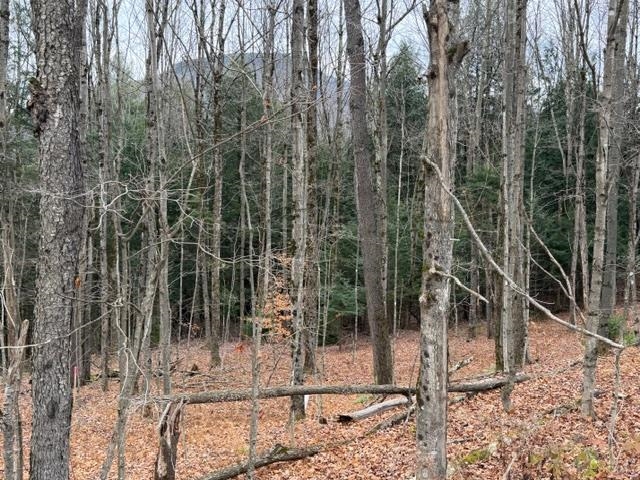 MLS #5068536 image #1