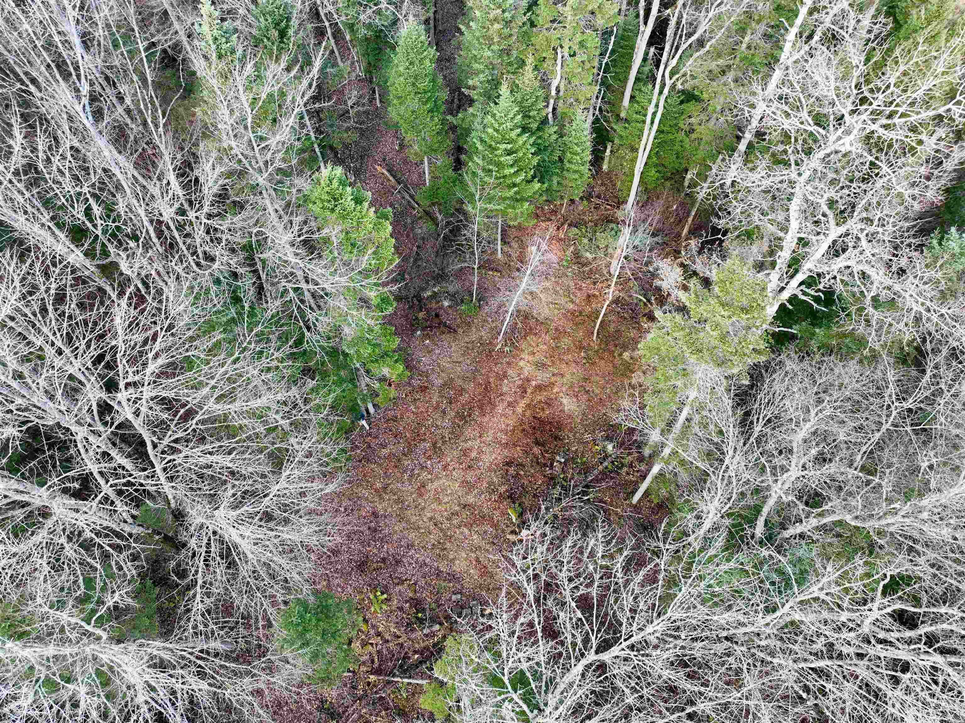 Homes for sale in Bethlehem, NH | 00 Moose Trail Rd, Bethlehem, NH 03574 | MLS# 5068556