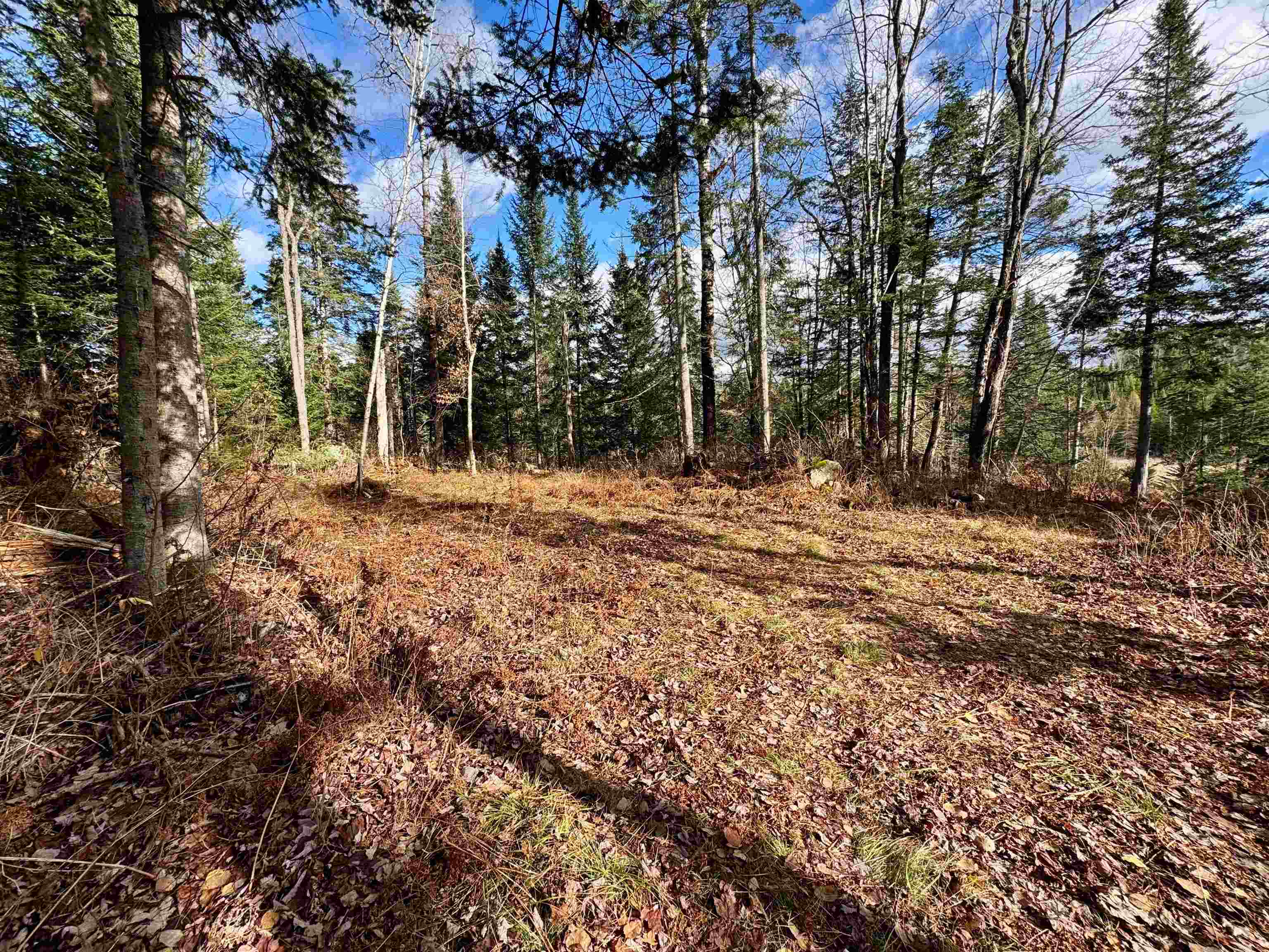 Homes for sale in Bethlehem, NH | 00 Moose Trail Rd, Bethlehem, NH 03574 | MLS# 5068556