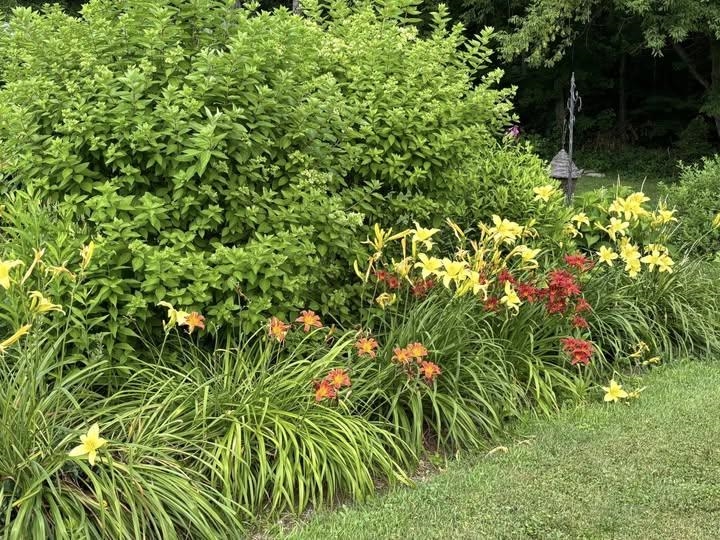 MLS #5068591 image #41