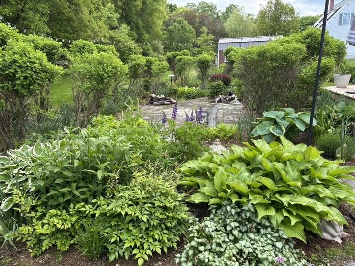 MLS #5068591 image #43