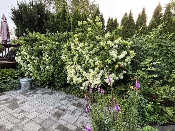 MLS #5068591 image #45