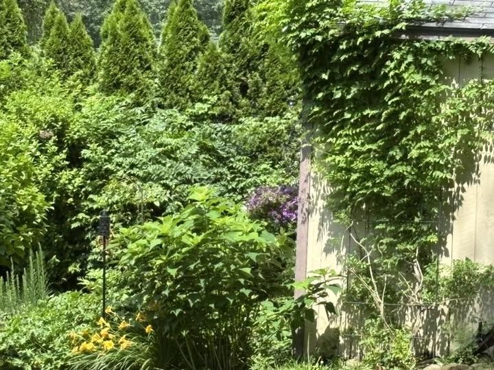 MLS #5068591 image #47