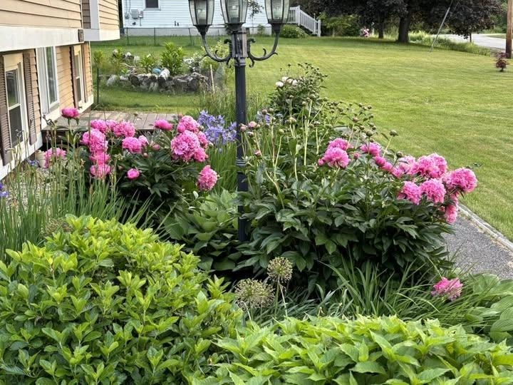 MLS #5068591 image #50