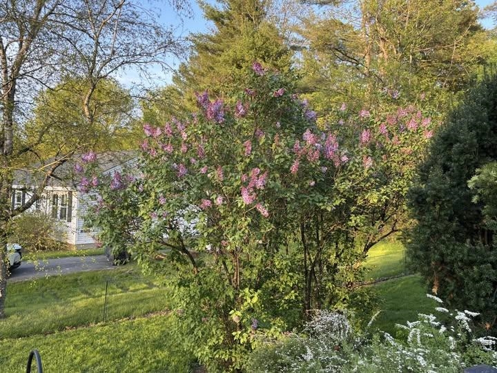 MLS #5068591 image #53