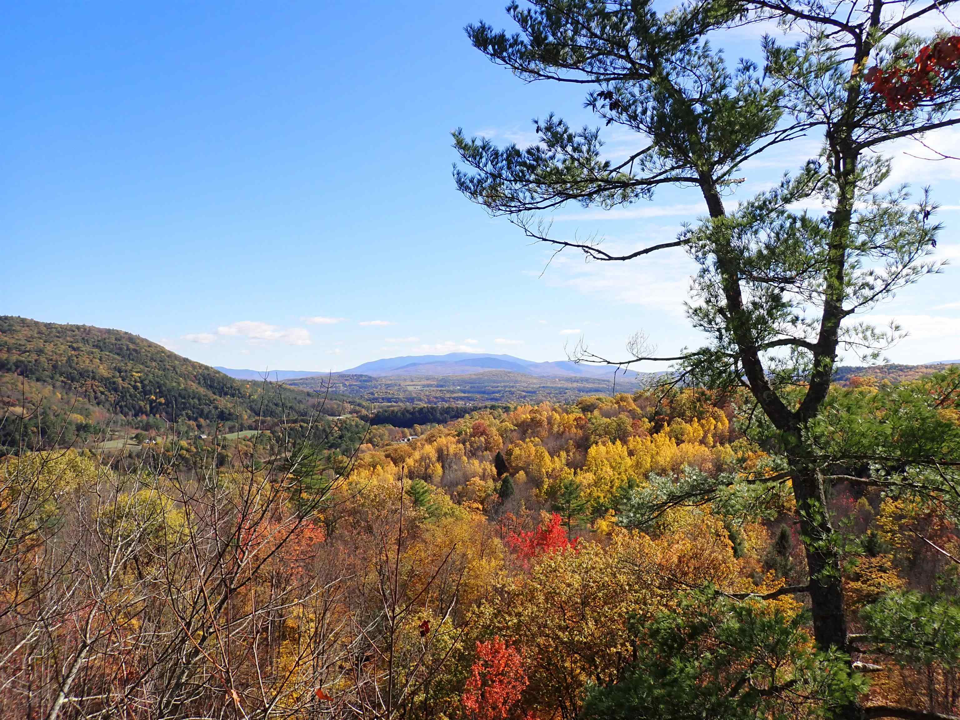 Homes for sale in Ryegate, VT | 1118 Ryegate Rd, Ryegate, VT 05081 | MLS# 5068598