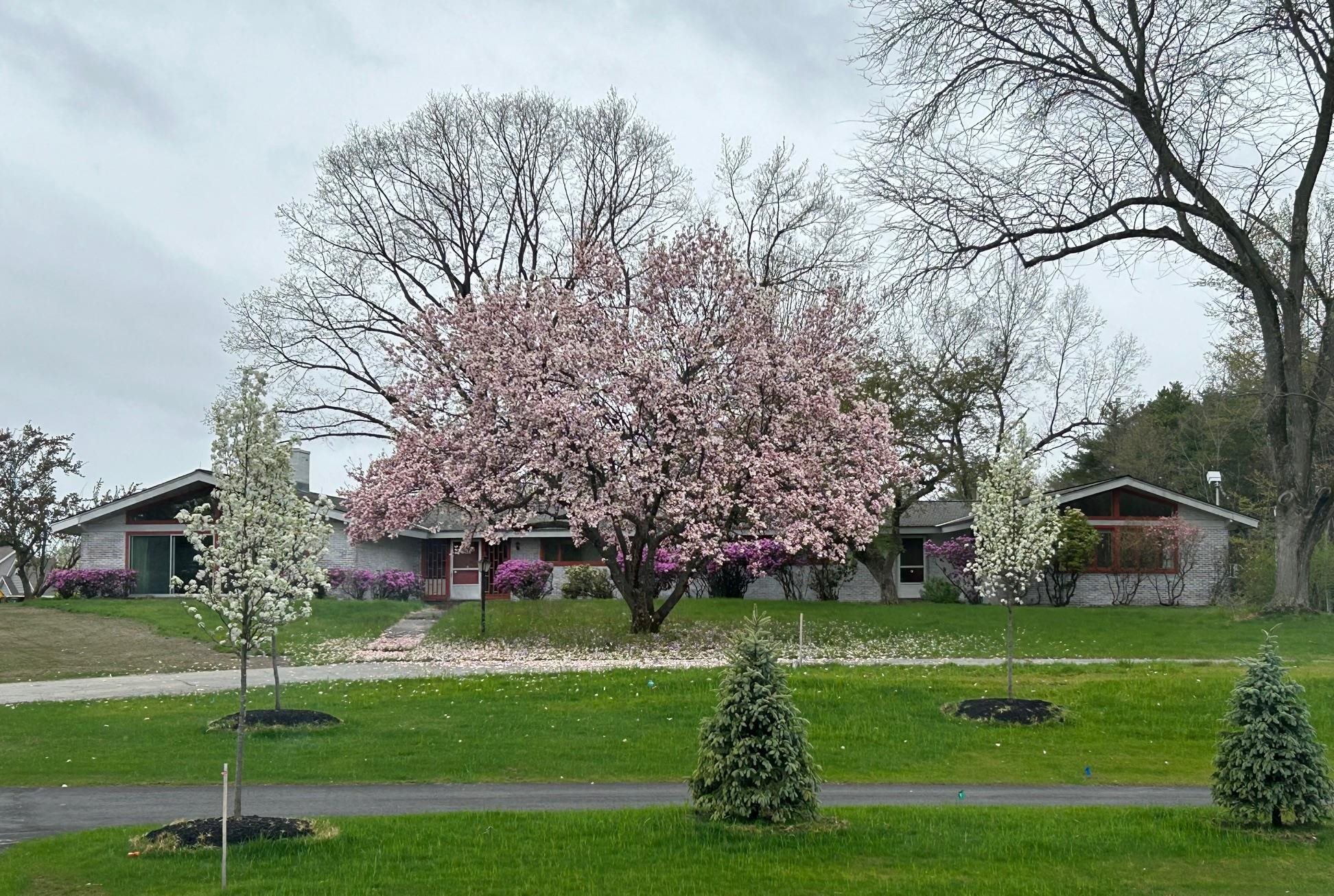 MLS #5068608 image #37