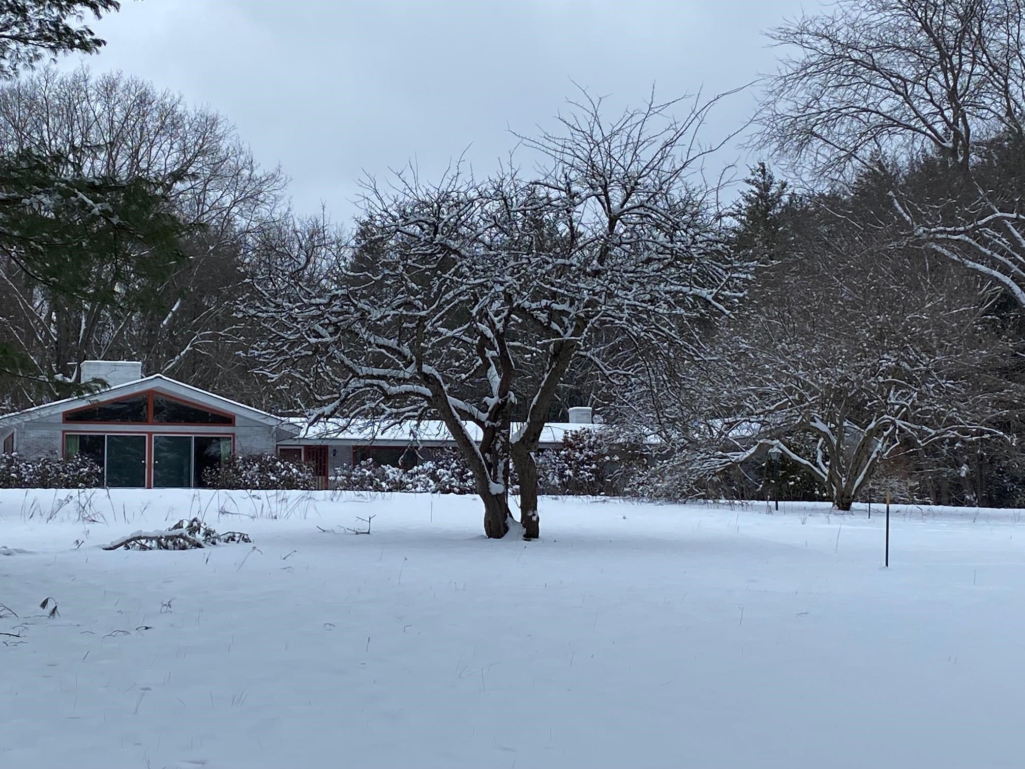 MLS #5068608 image #38