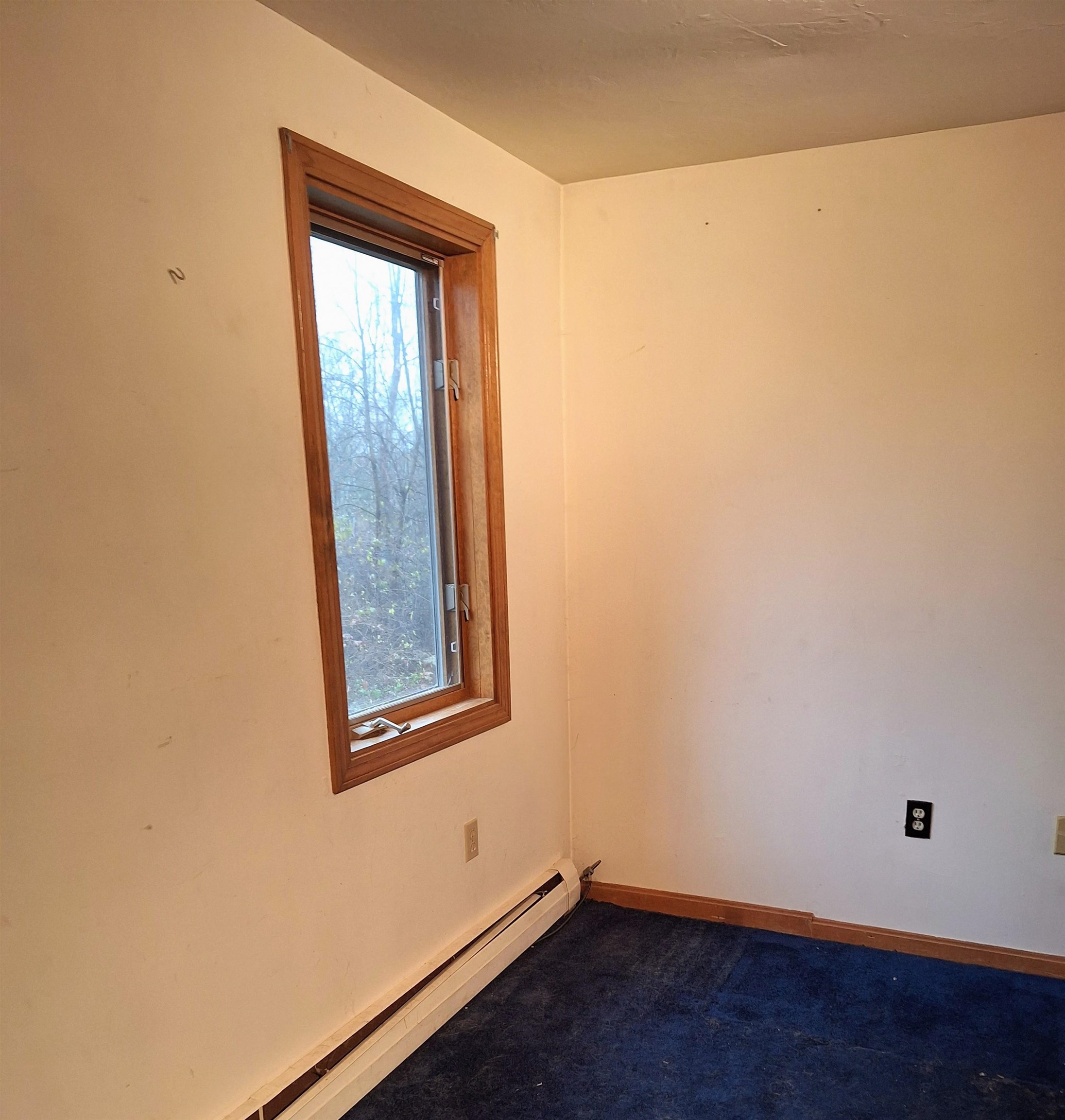 MLS #5068624 image #12