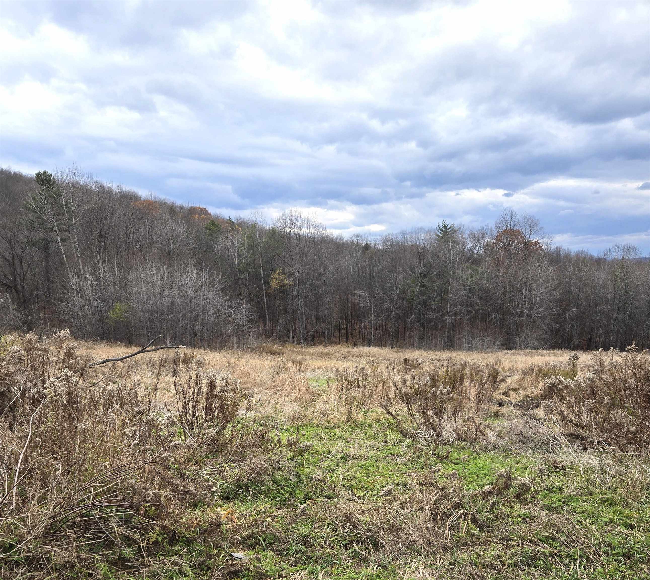 Homes for sale in Tunbridge, VT | 3531 Dairy Hill Rd, Tunbridge, VT 05077 | MLS# 5068628