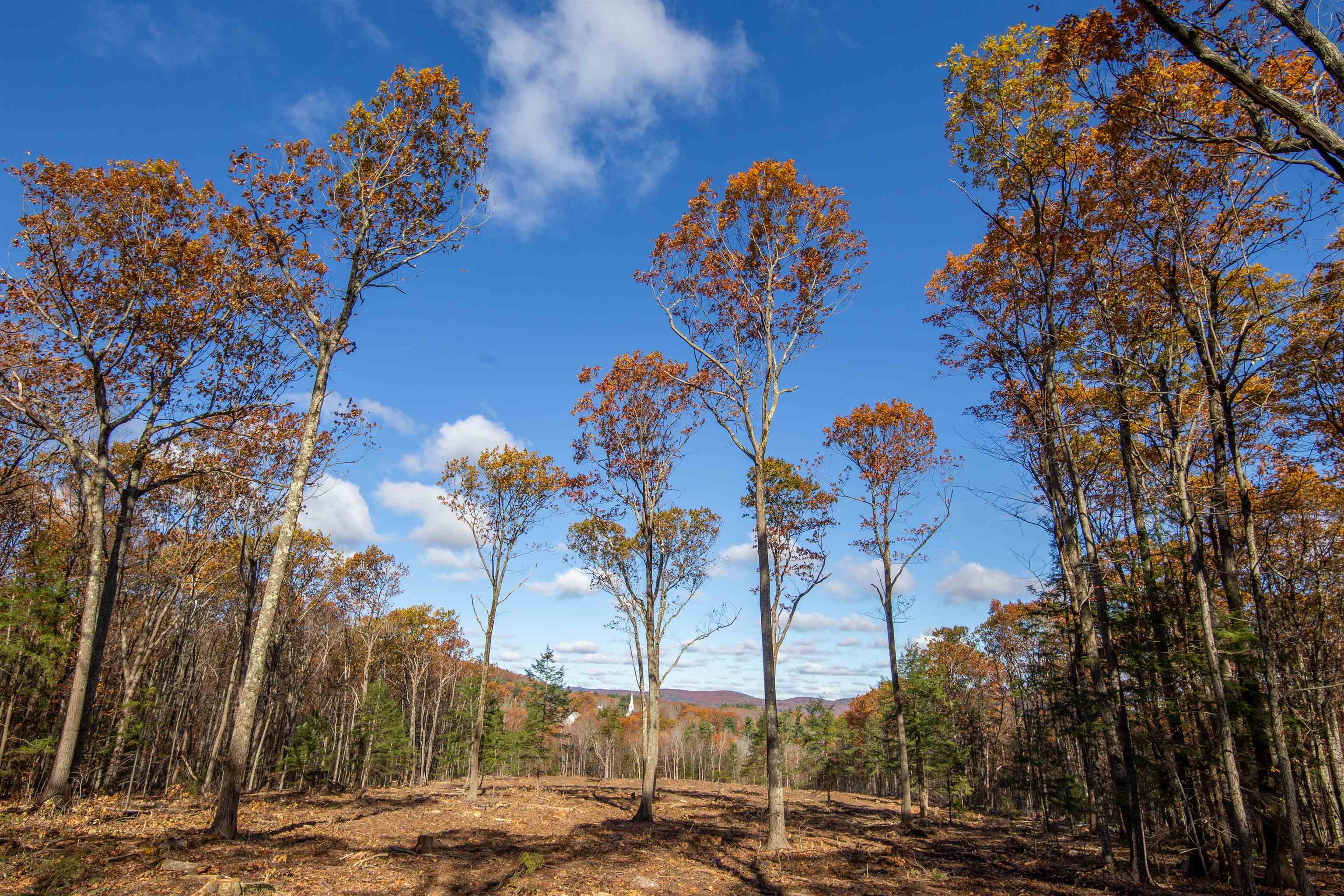 Homes for sale in Dublin, NH | 000 Windmill Hill Rd, Dublin, NH 03444 | MLS# 5068629