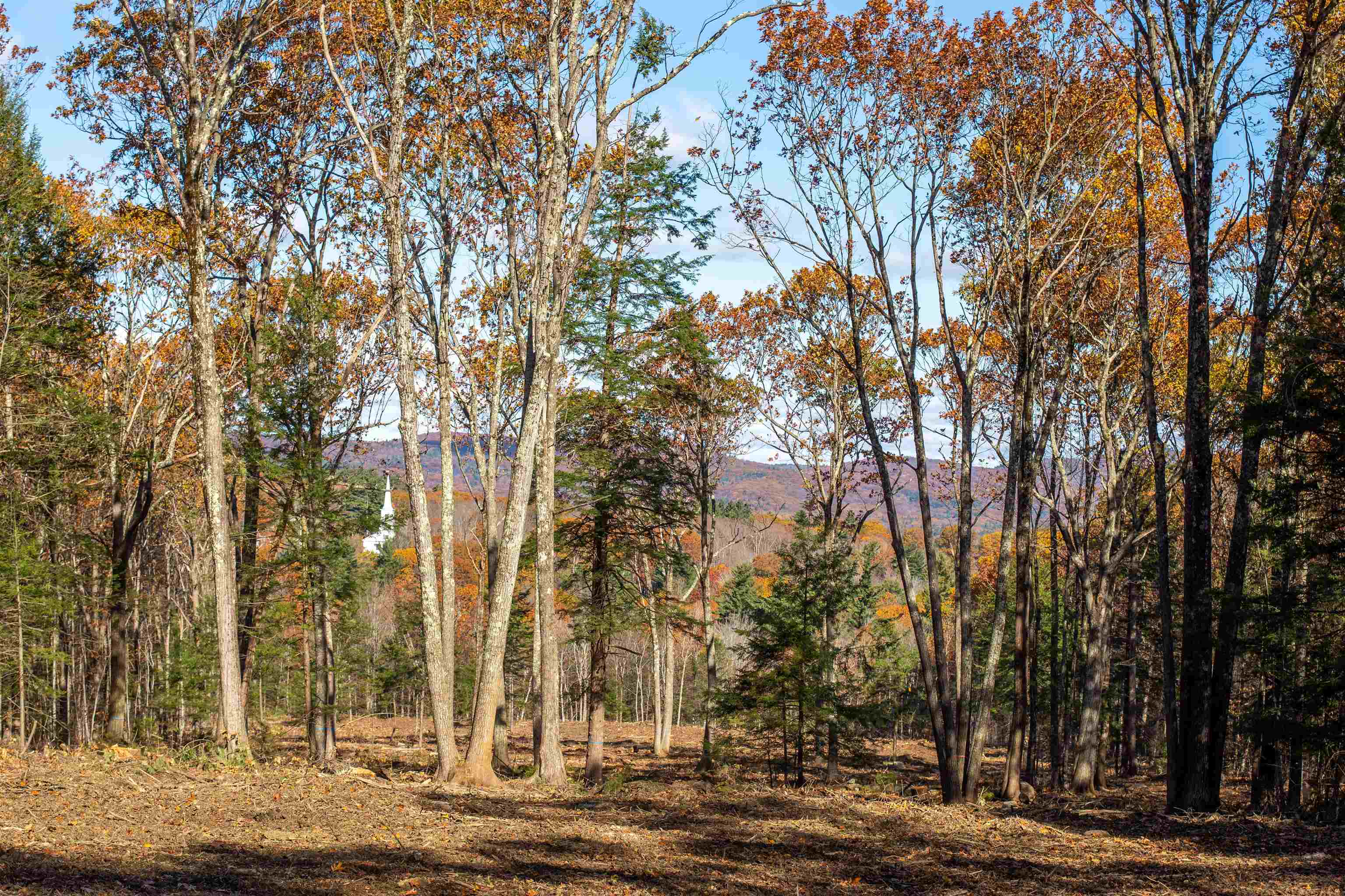 Homes for sale in Dublin, NH | 000 Windmill Hill Rd, Dublin, NH 03444 | MLS# 5068629