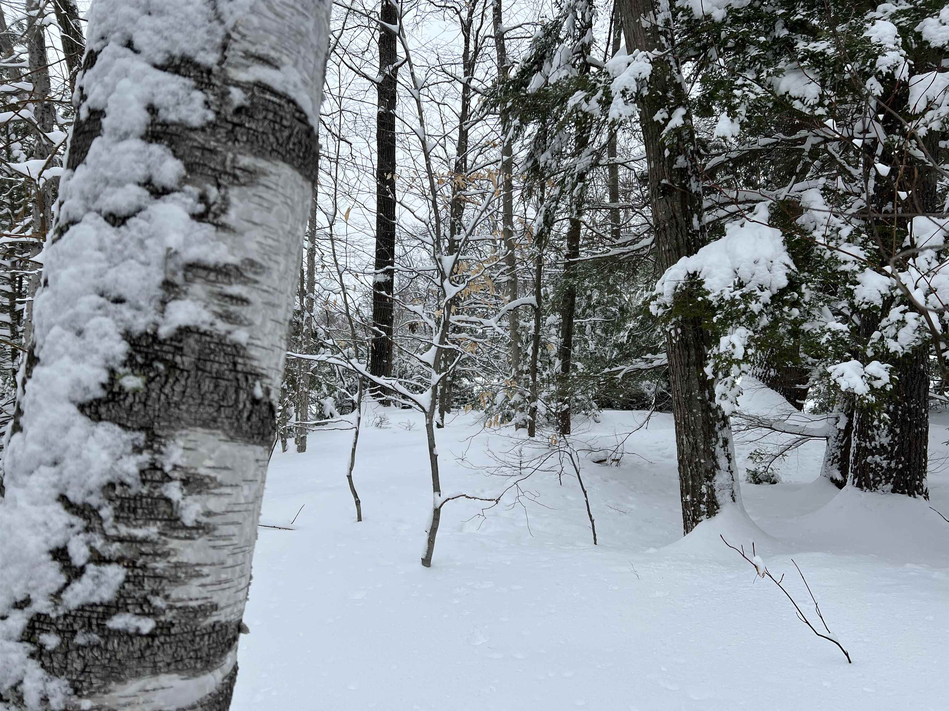 MLS #5068632 image #1