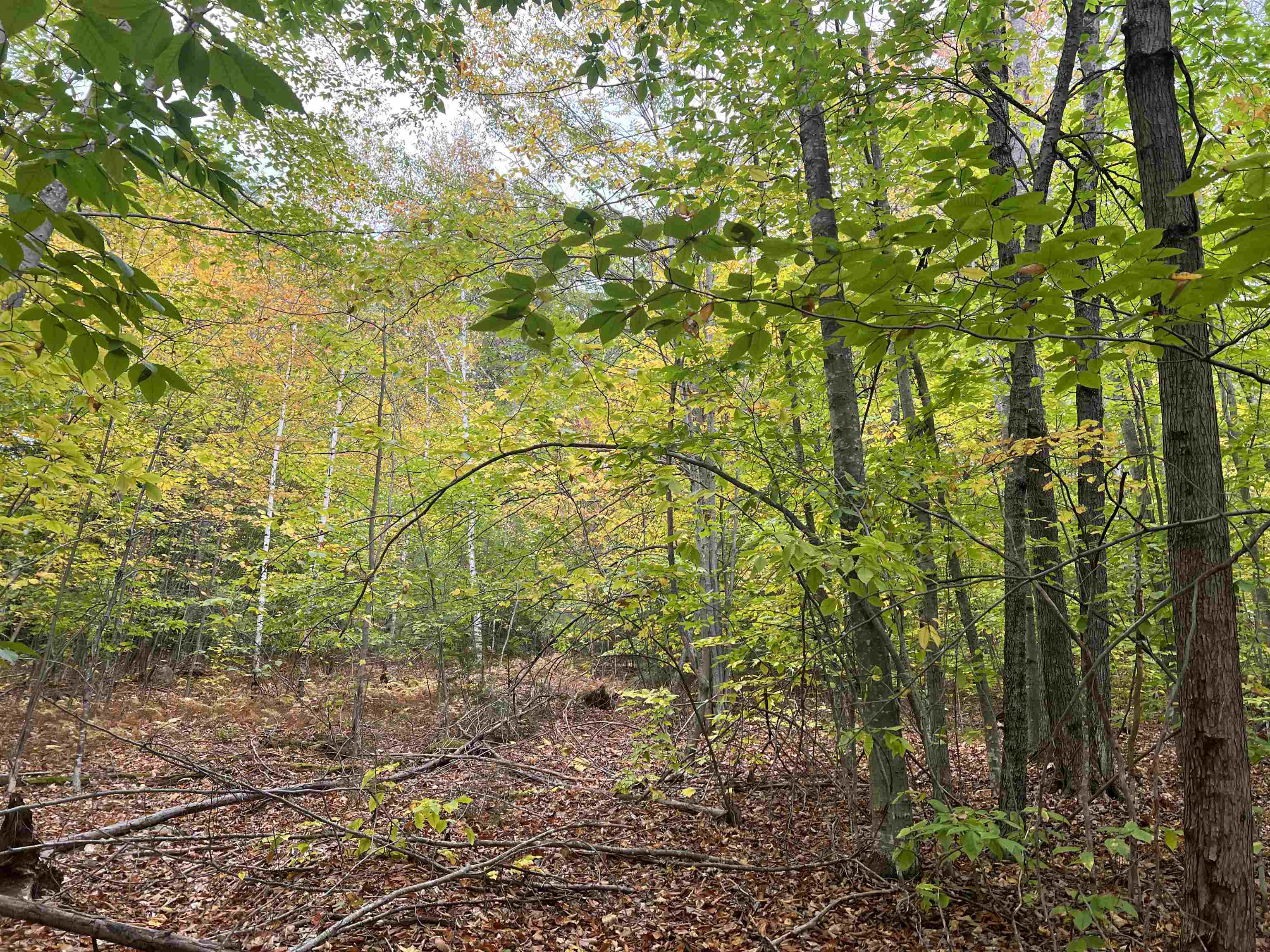 MLS #5068632 image #13