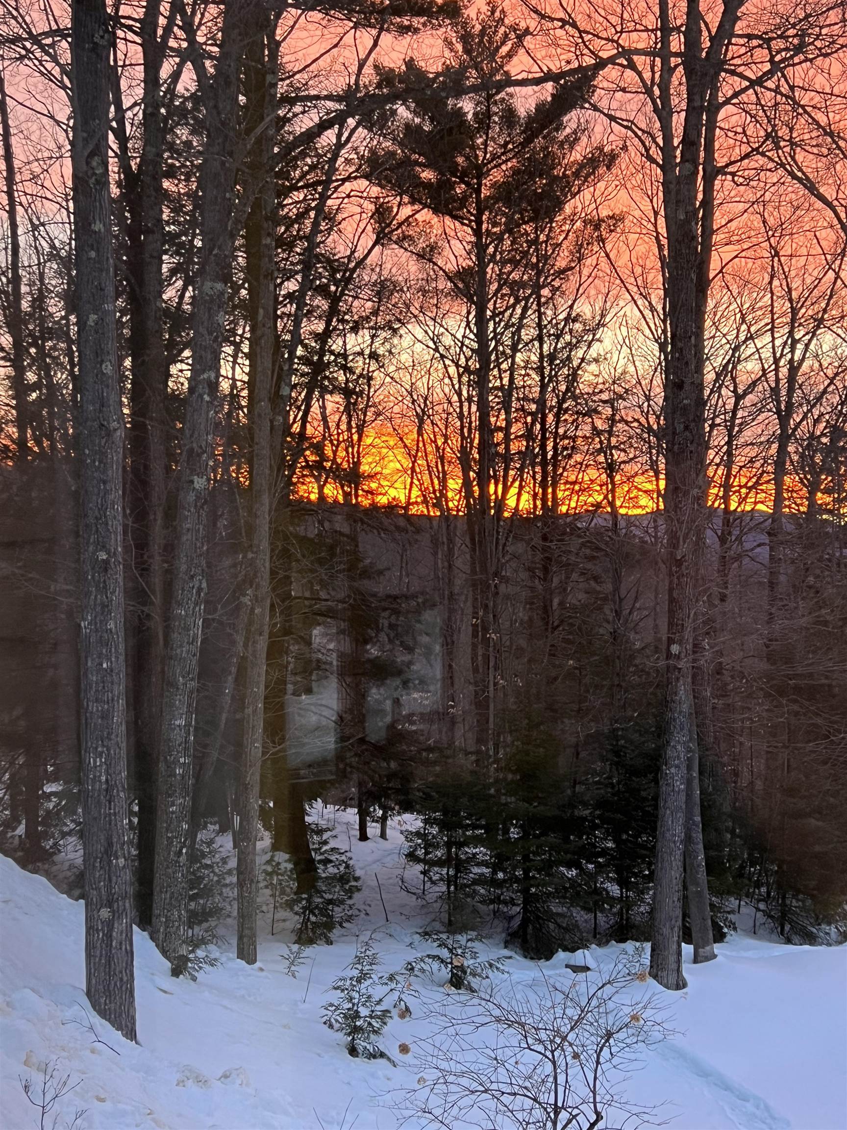 MLS #5068632 image #16