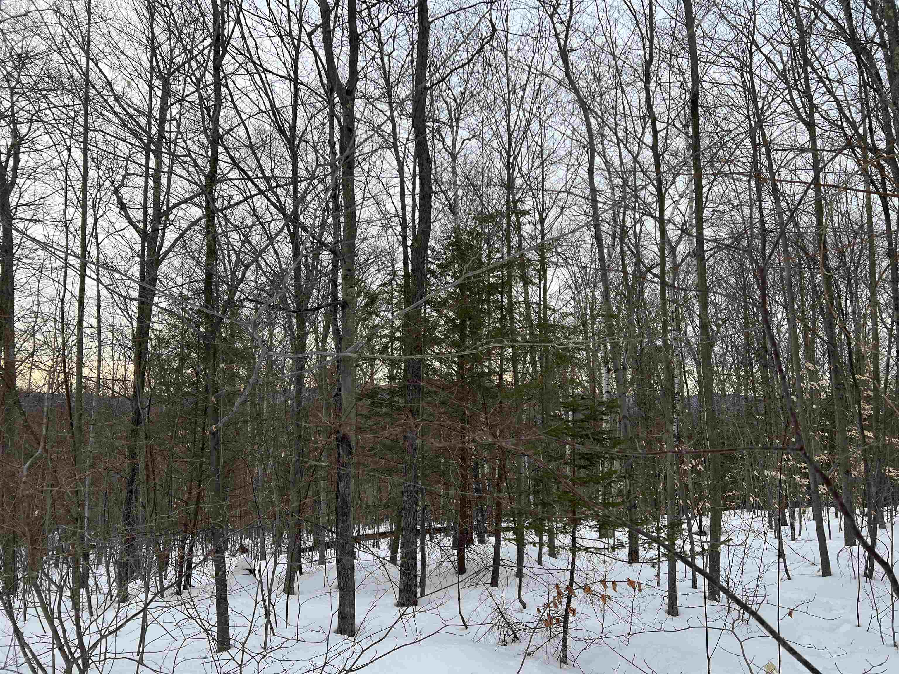 MLS #5068632 image #18