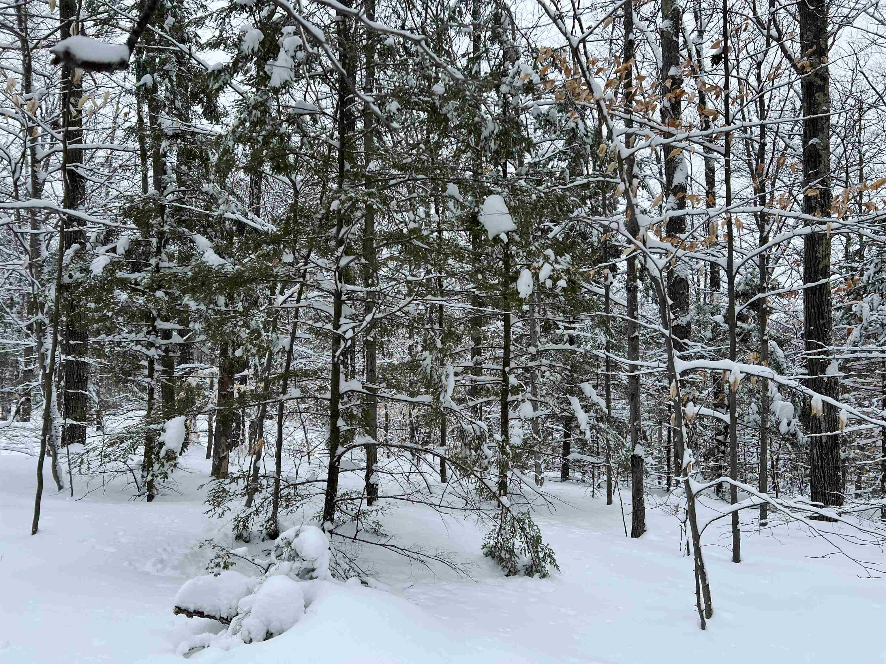 MLS #5068632 image #2