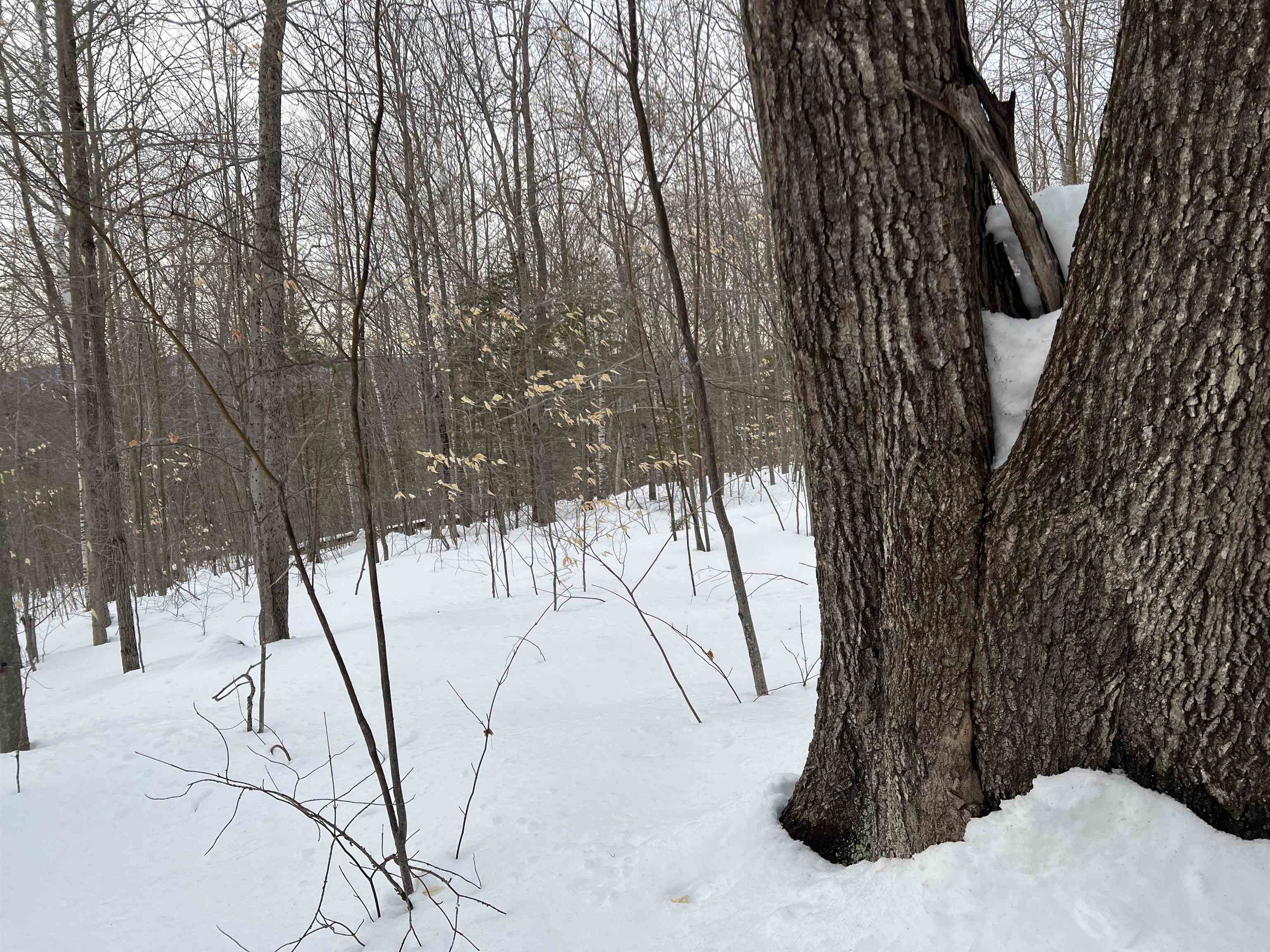 MLS #5068632 image #20