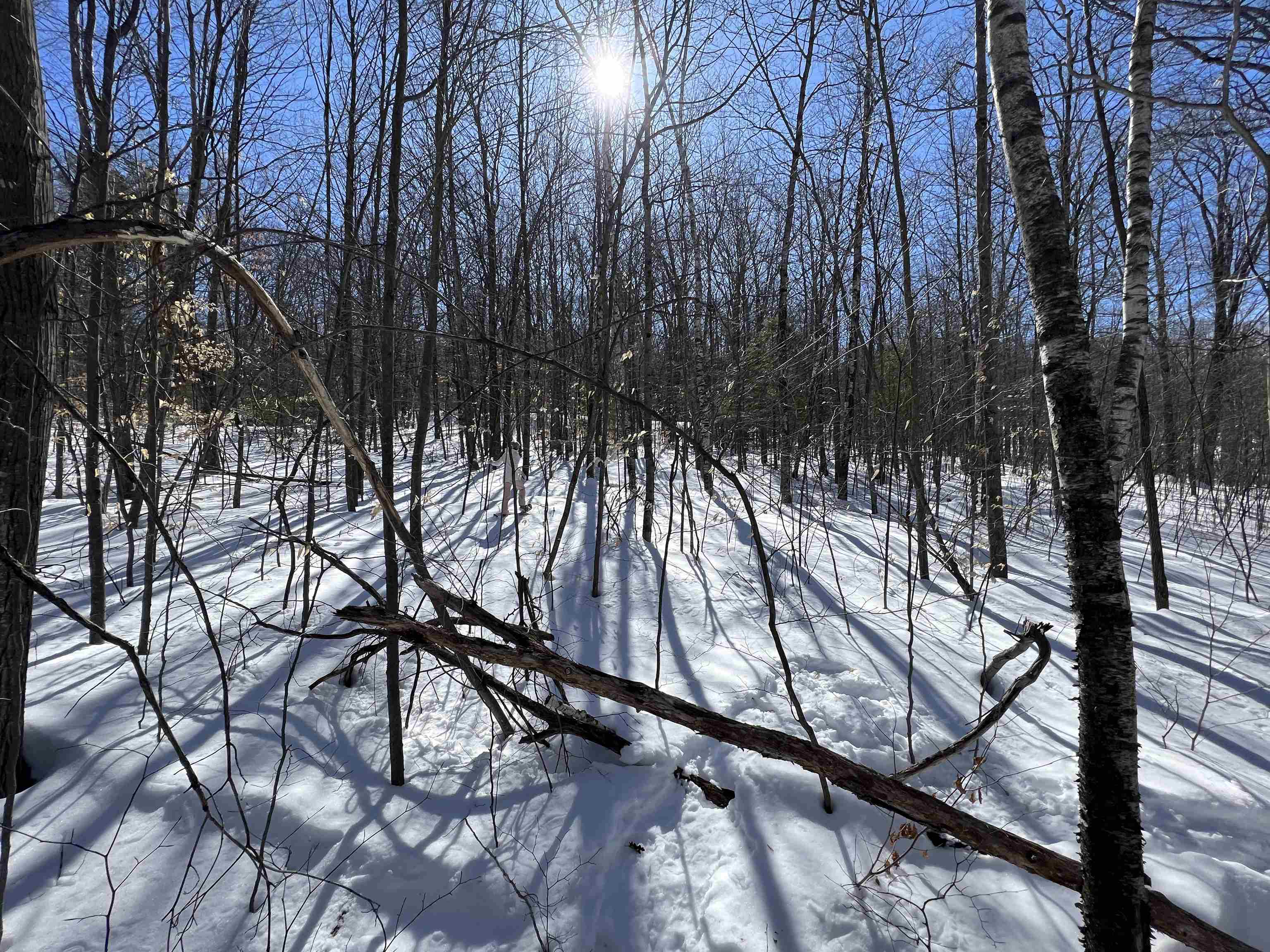 MLS #5068632 image #21