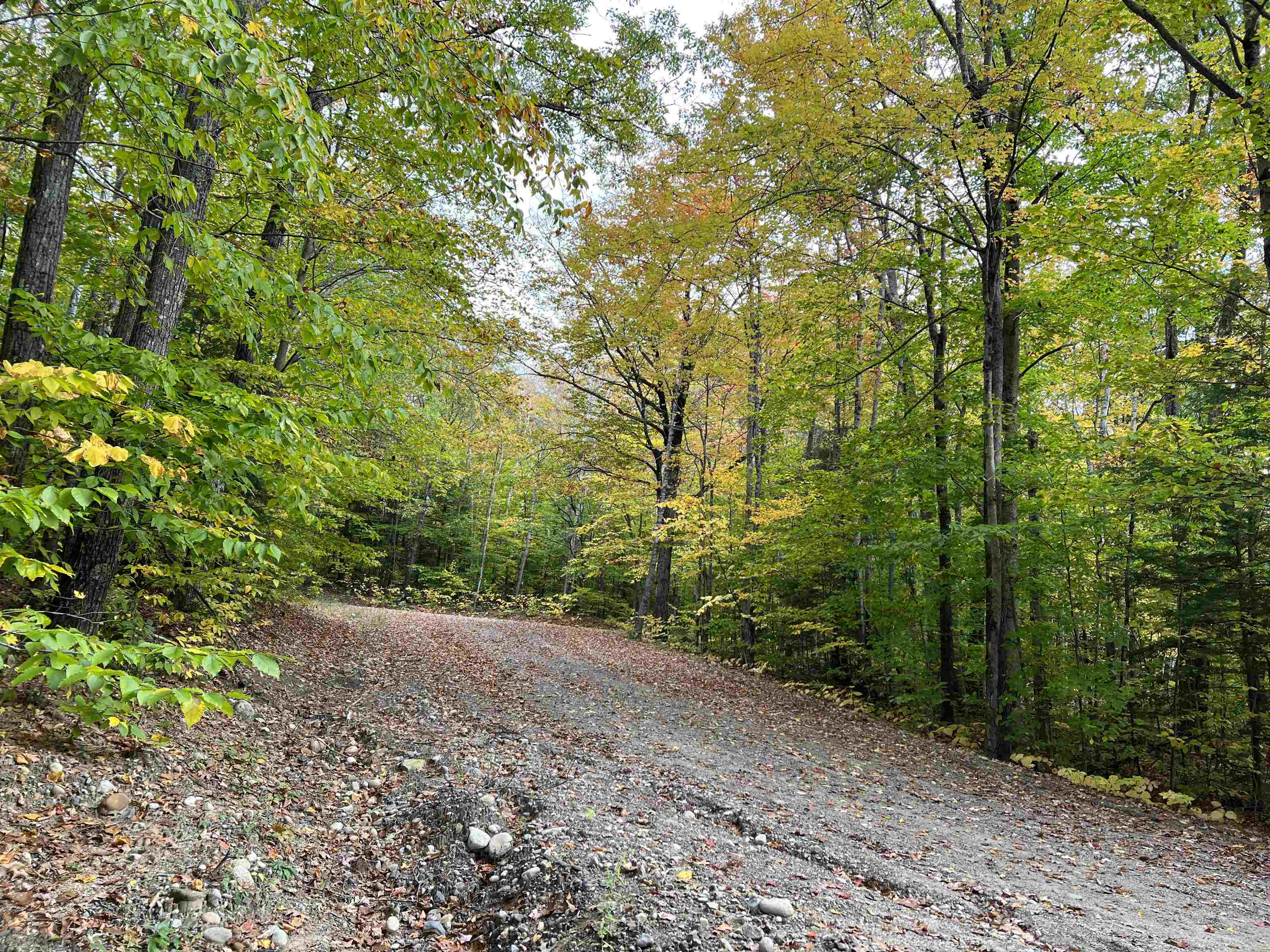 MLS #5068632 image #22