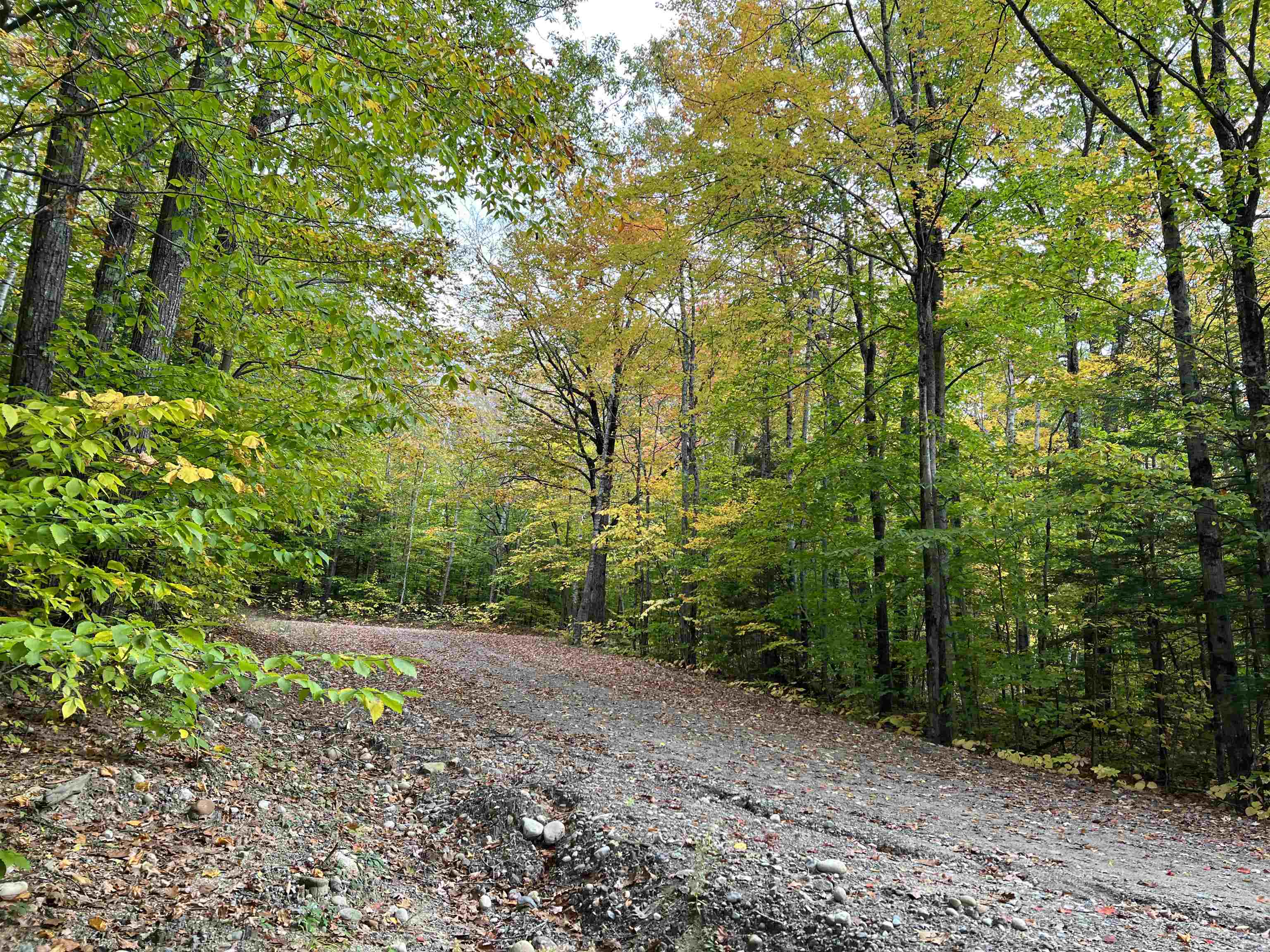 MLS #5068632 image #24