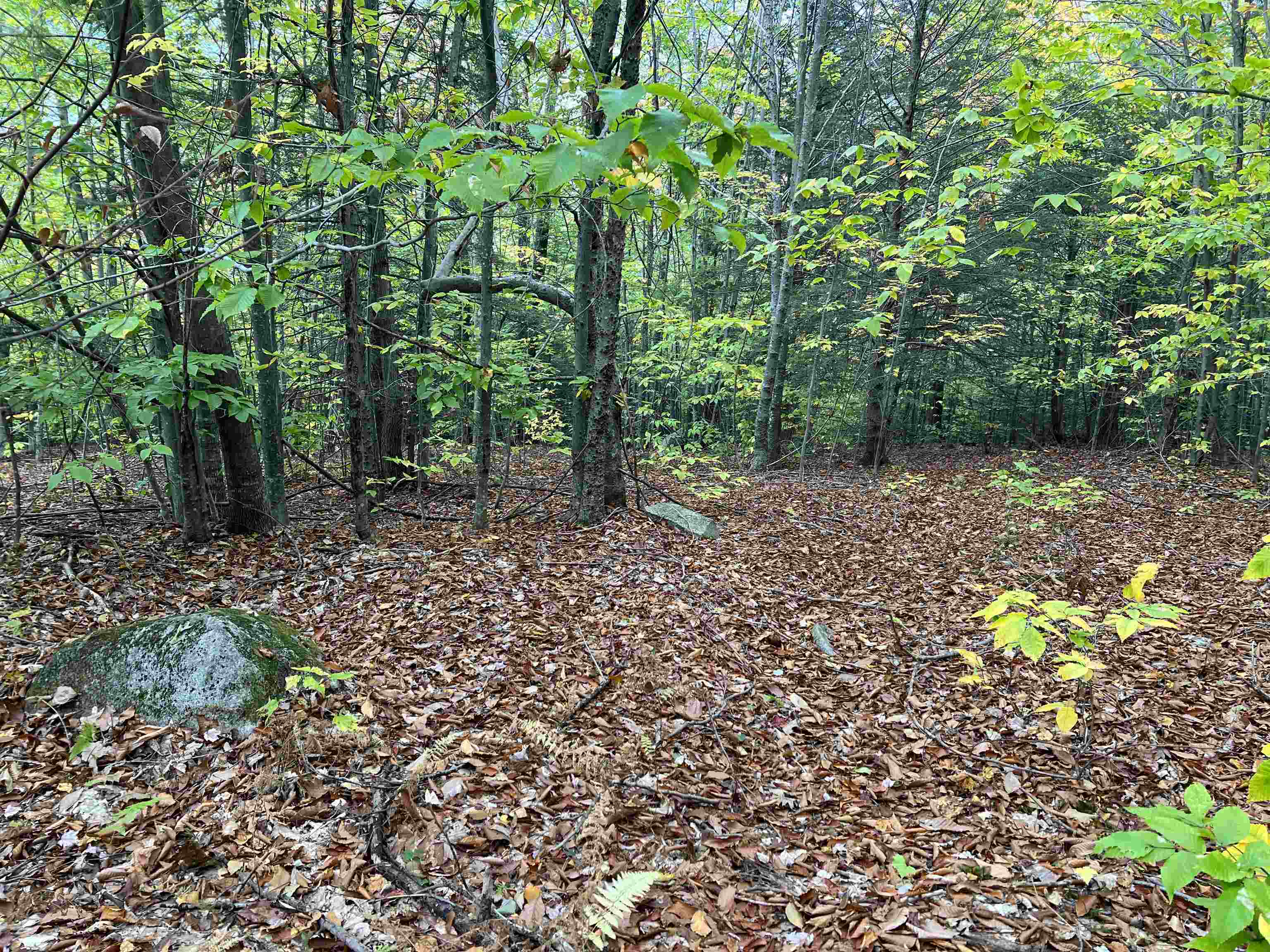 MLS #5068632 image #26