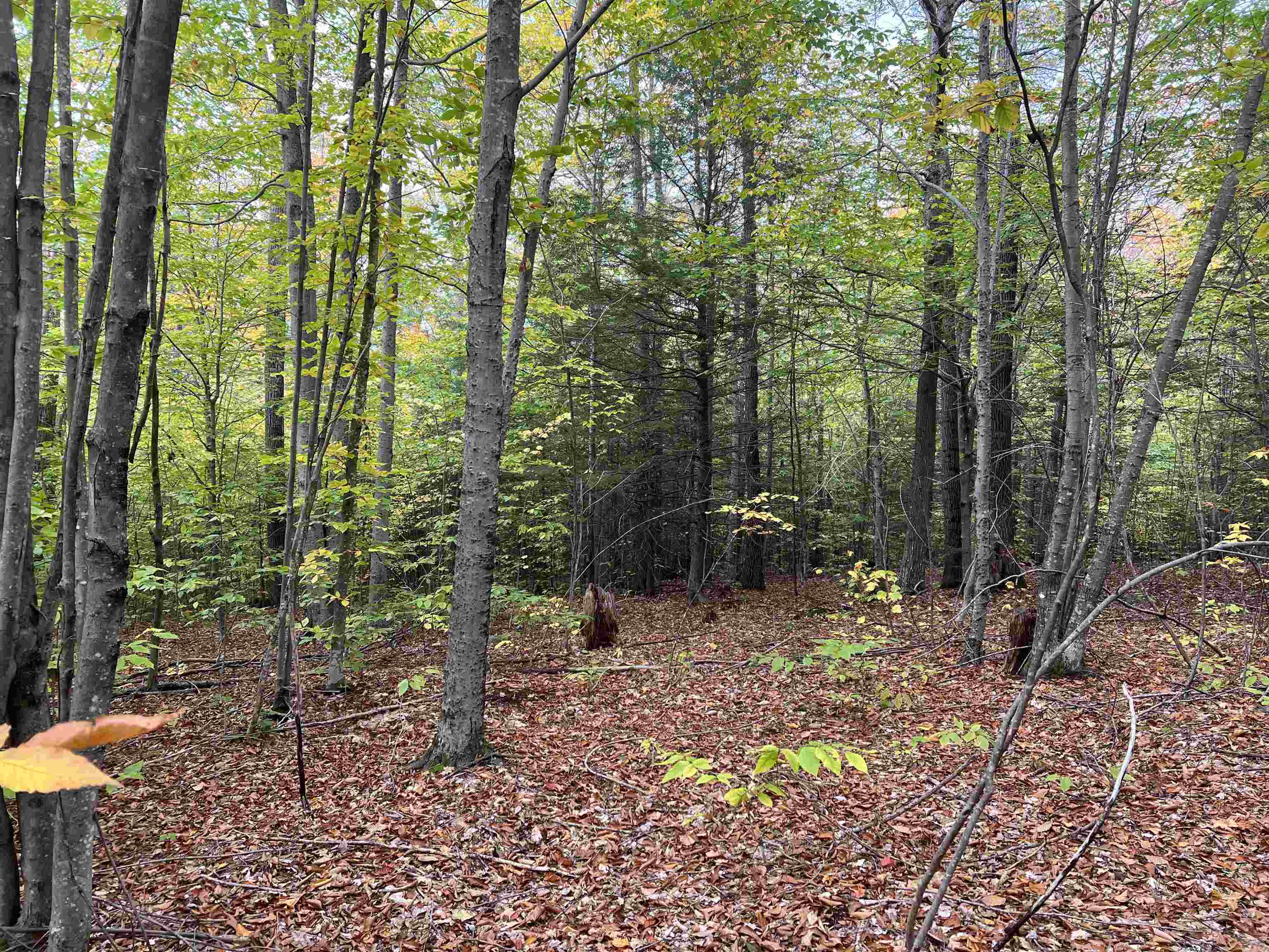 MLS #5068632 image #27