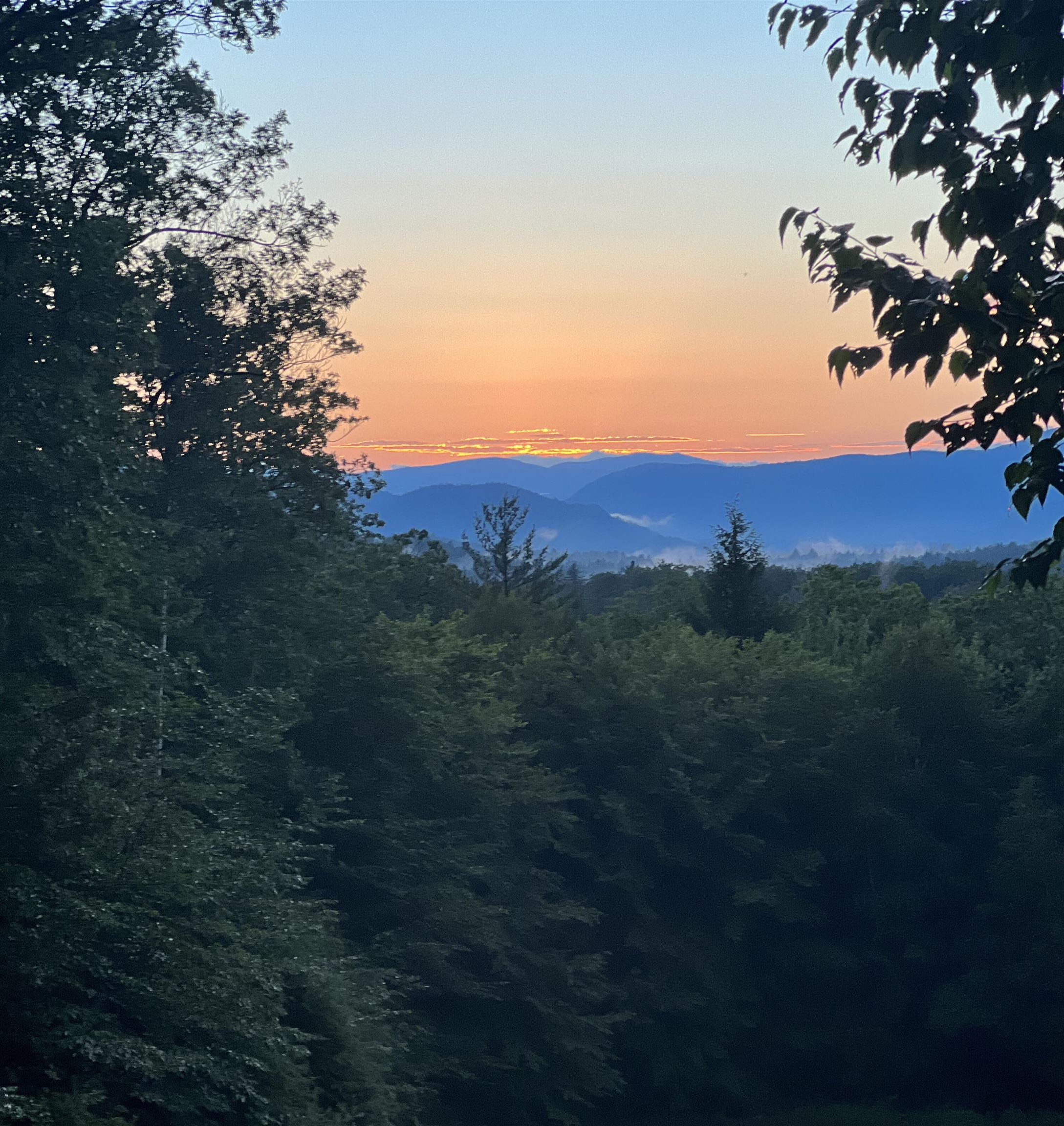 MLS #5068632 image #28