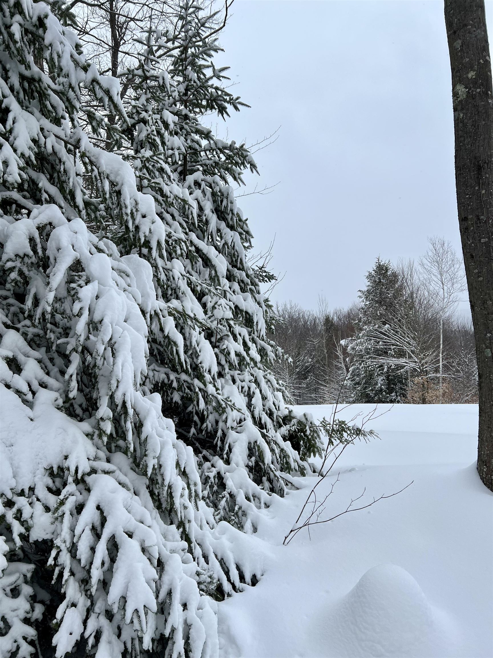 MLS #5068632 image #3