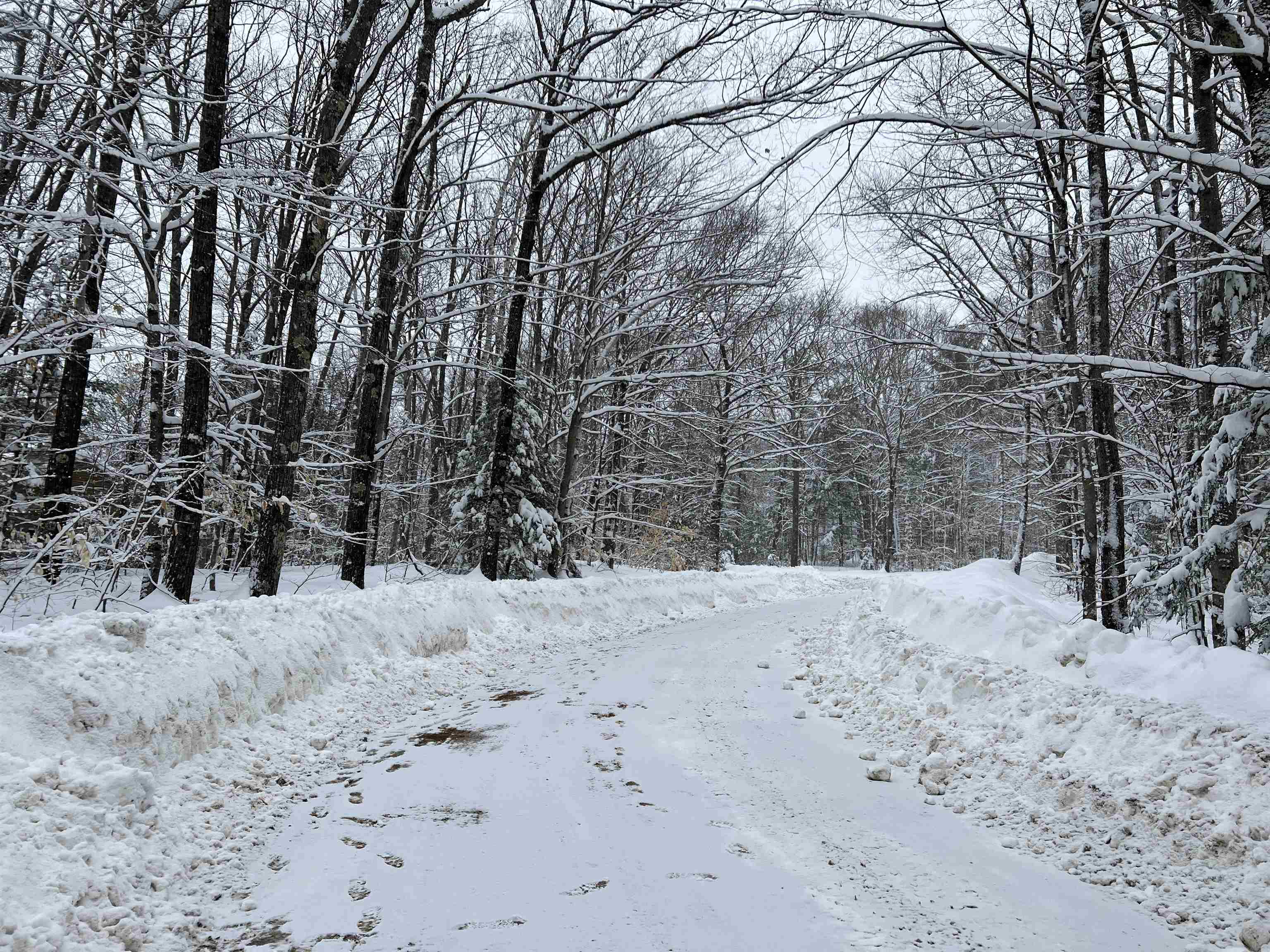 MLS #5068632 image #4