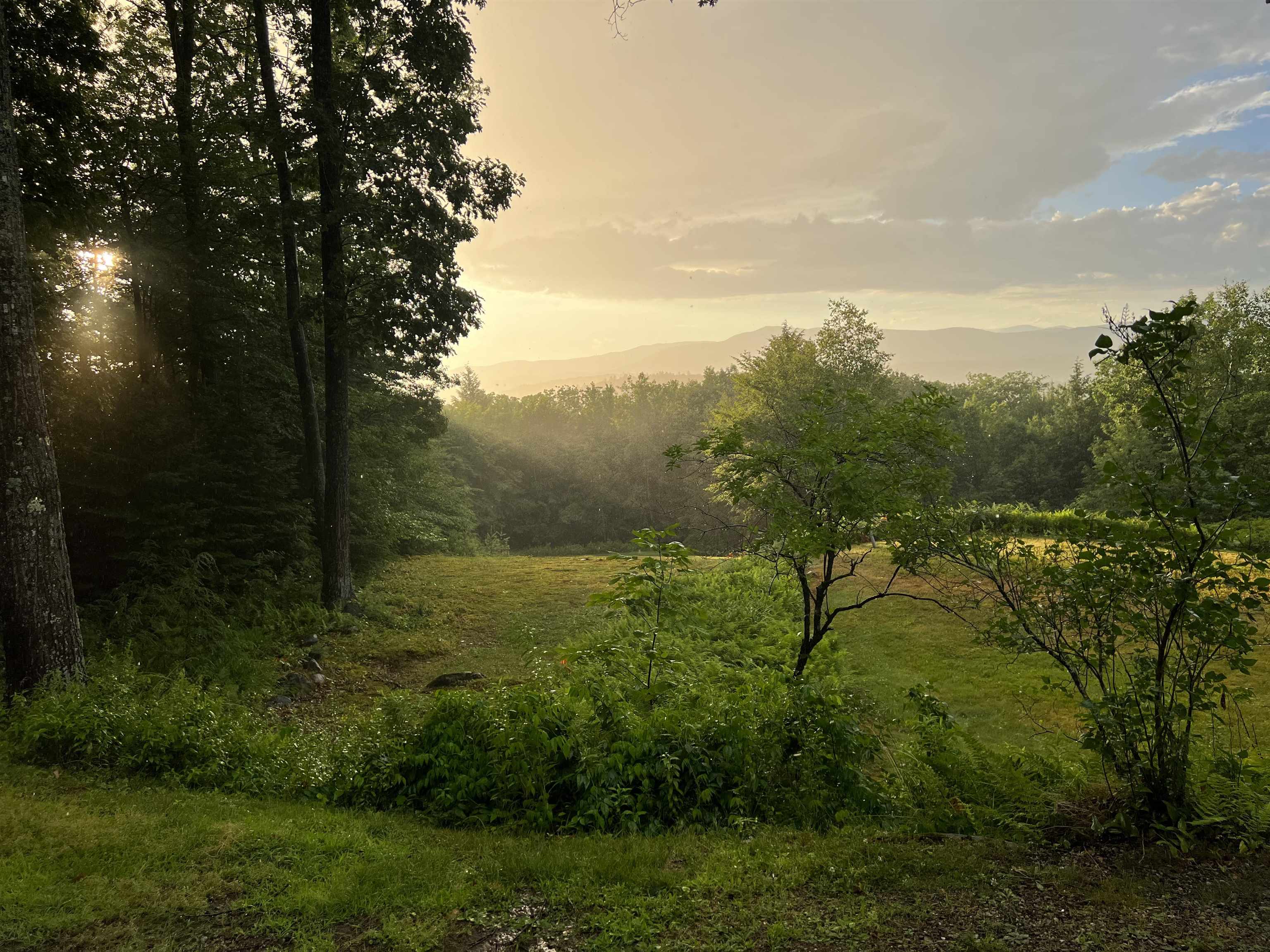 MLS #5068632 image #6